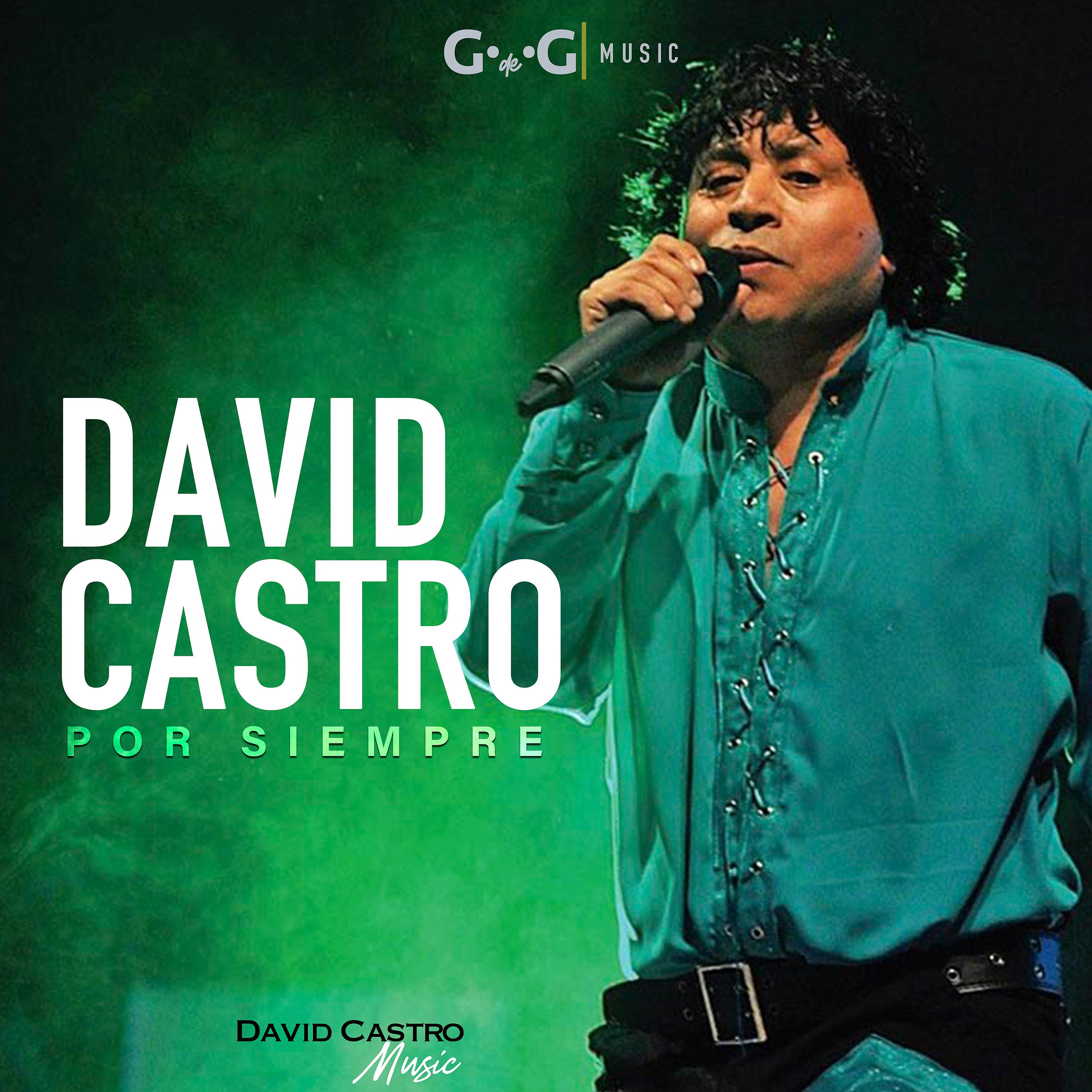 Постер альбома David Castro por Siempre (En Vivo)