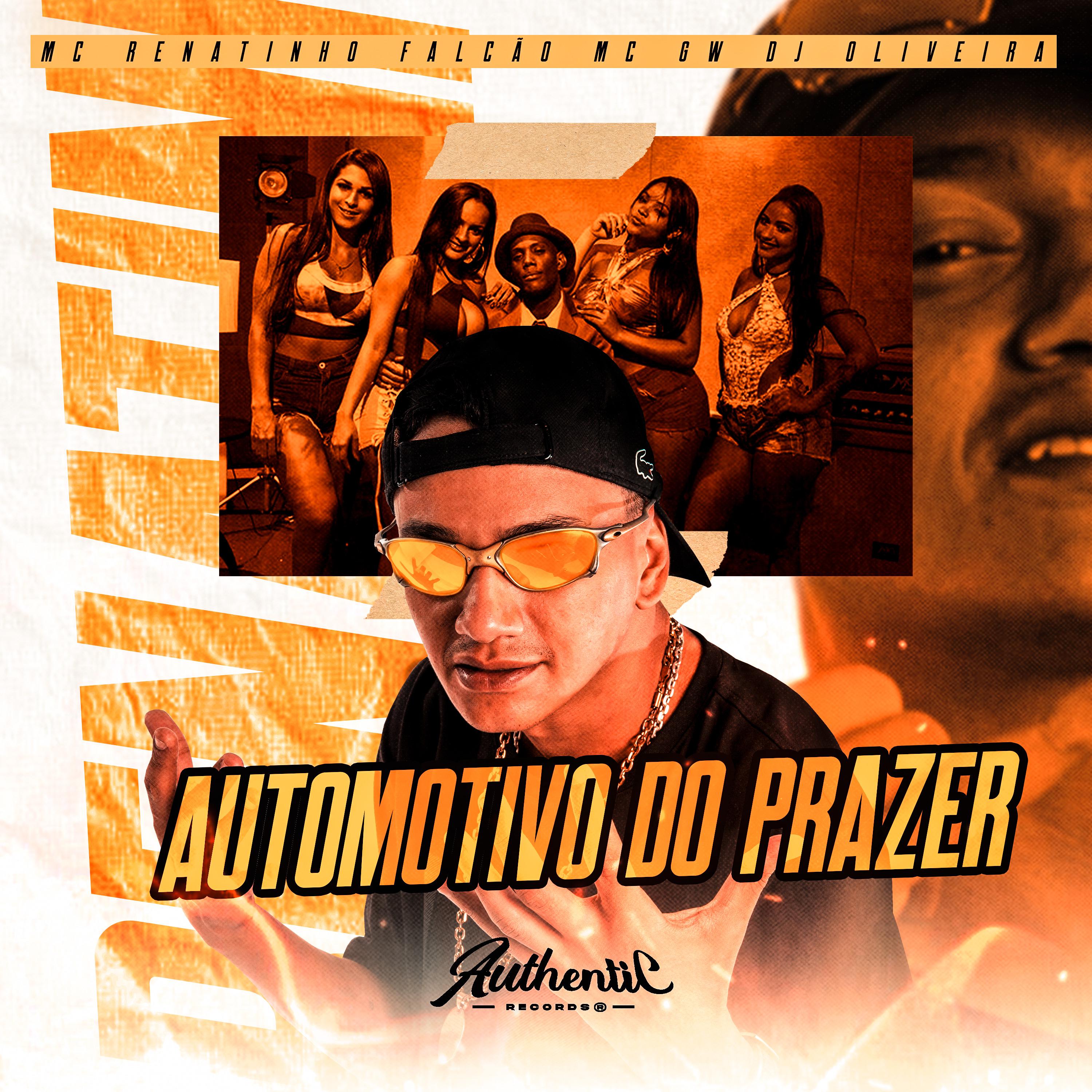 Постер альбома Automotivo do Prazer