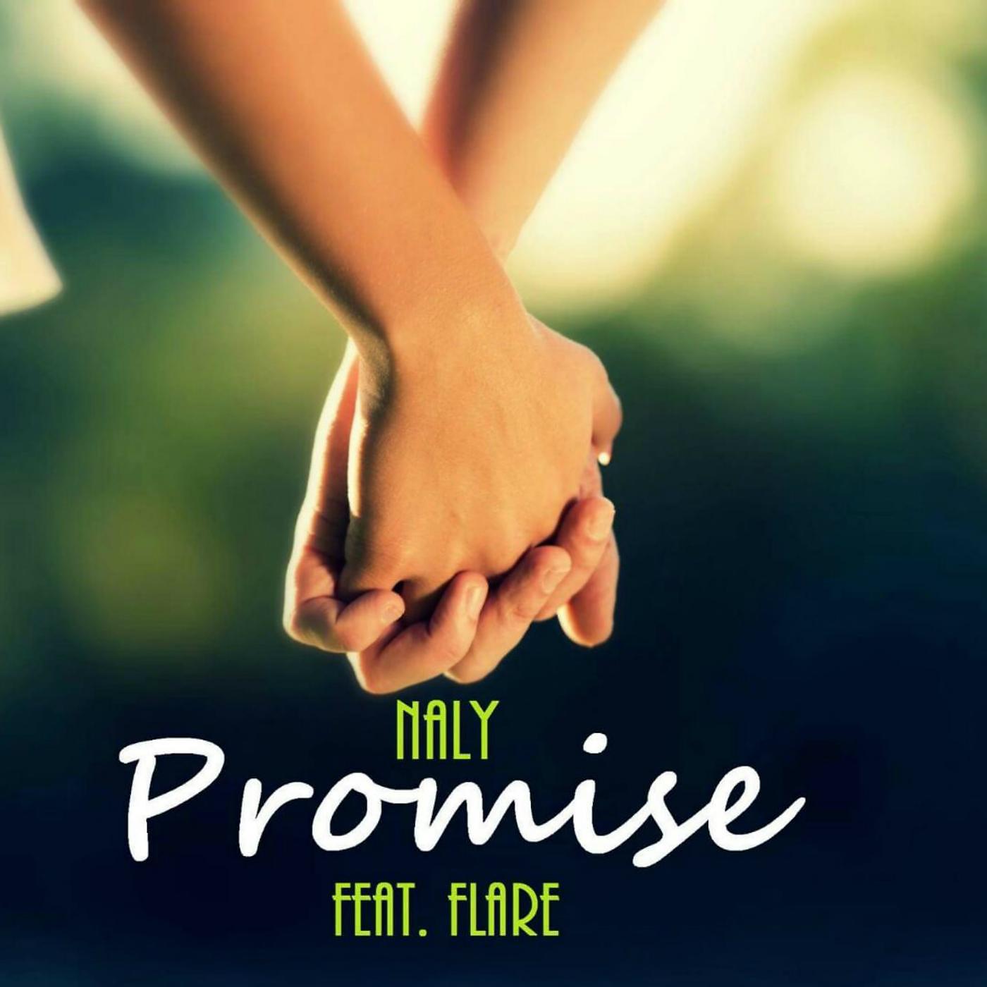 Постер альбома Promise (feat. Flare)