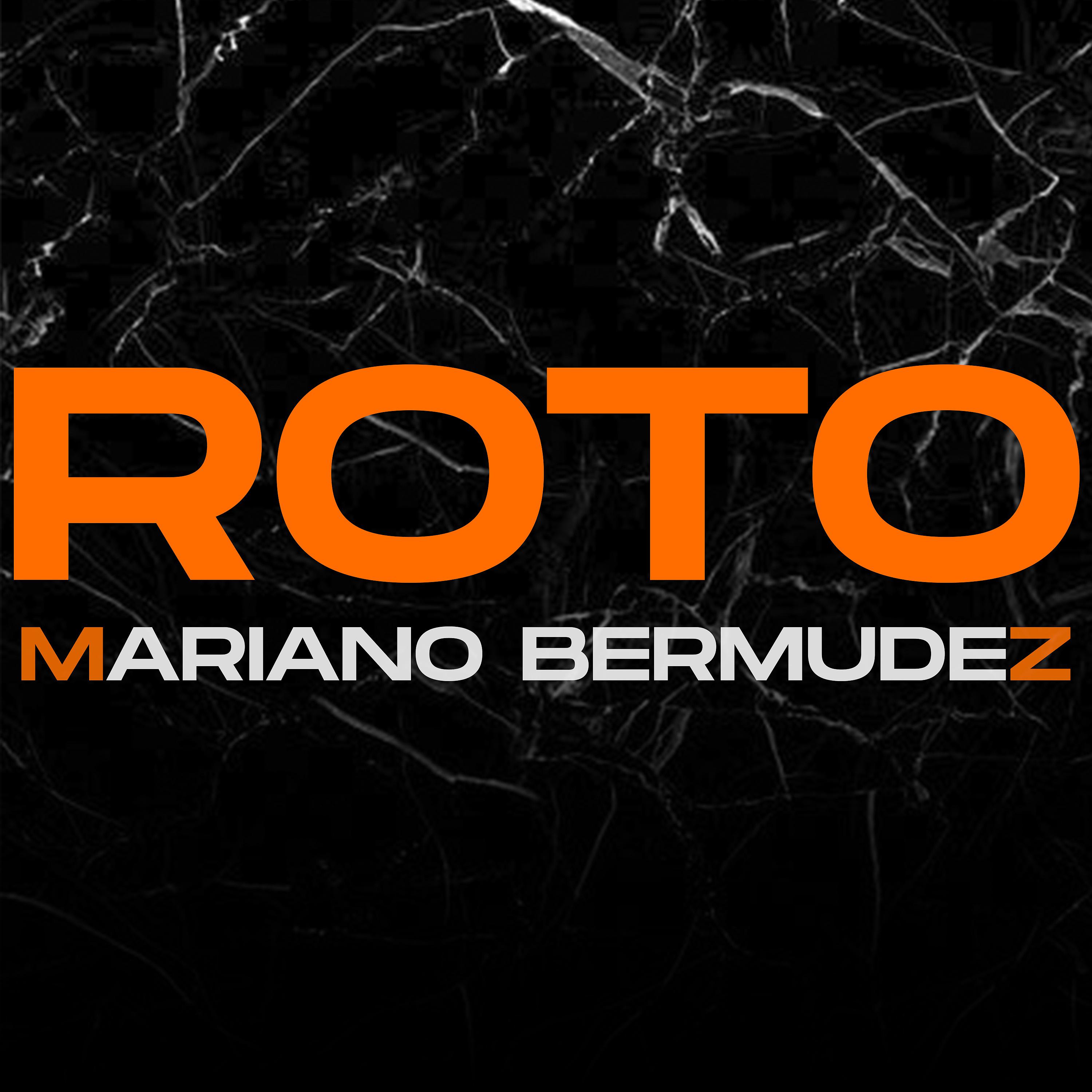 Постер альбома Roto