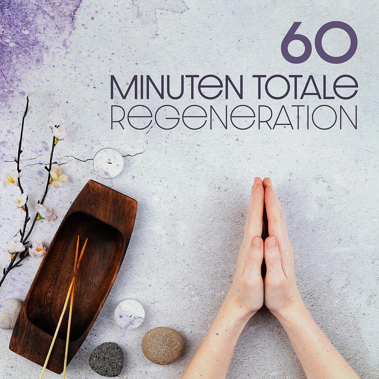 Постер альбома 60 Minuten Totale Regeneration