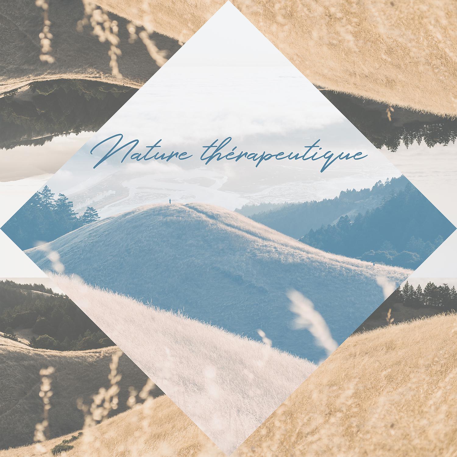 Постер альбома Nature thérapeutique: Zone de relaxation, Esprit apaisant, Temps de bonheur, Énergie pure