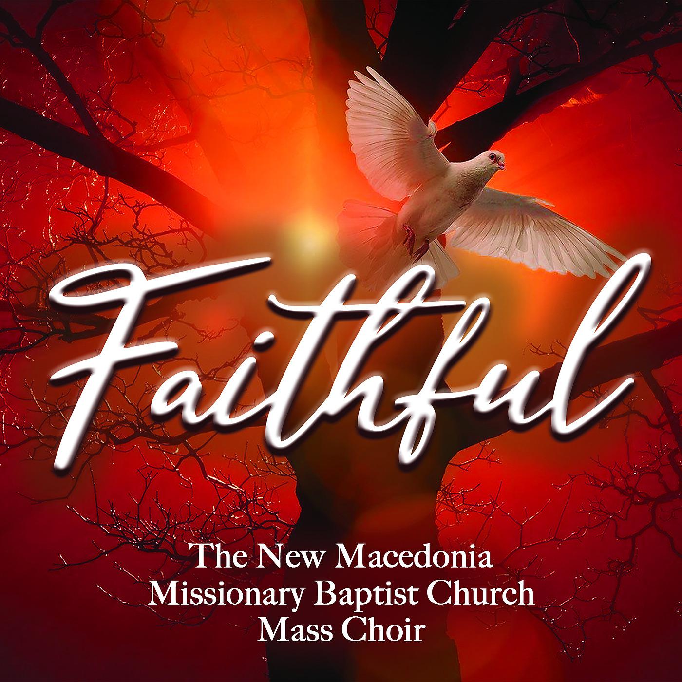 Постер альбома Faithful