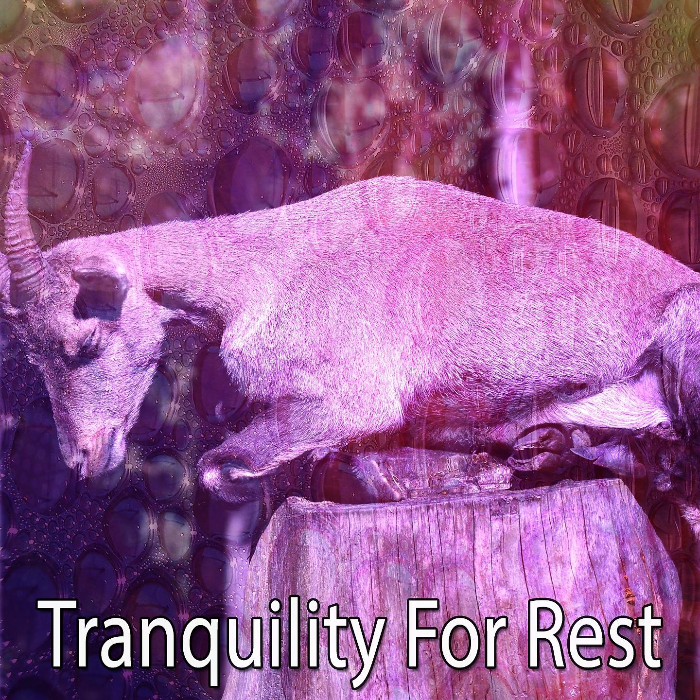 Постер альбома Tranquility For Rest