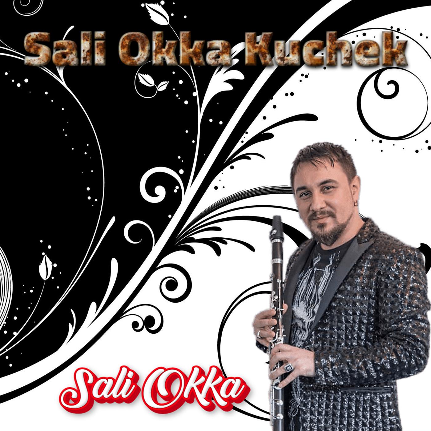Постер альбома Sali Okka Kuchek