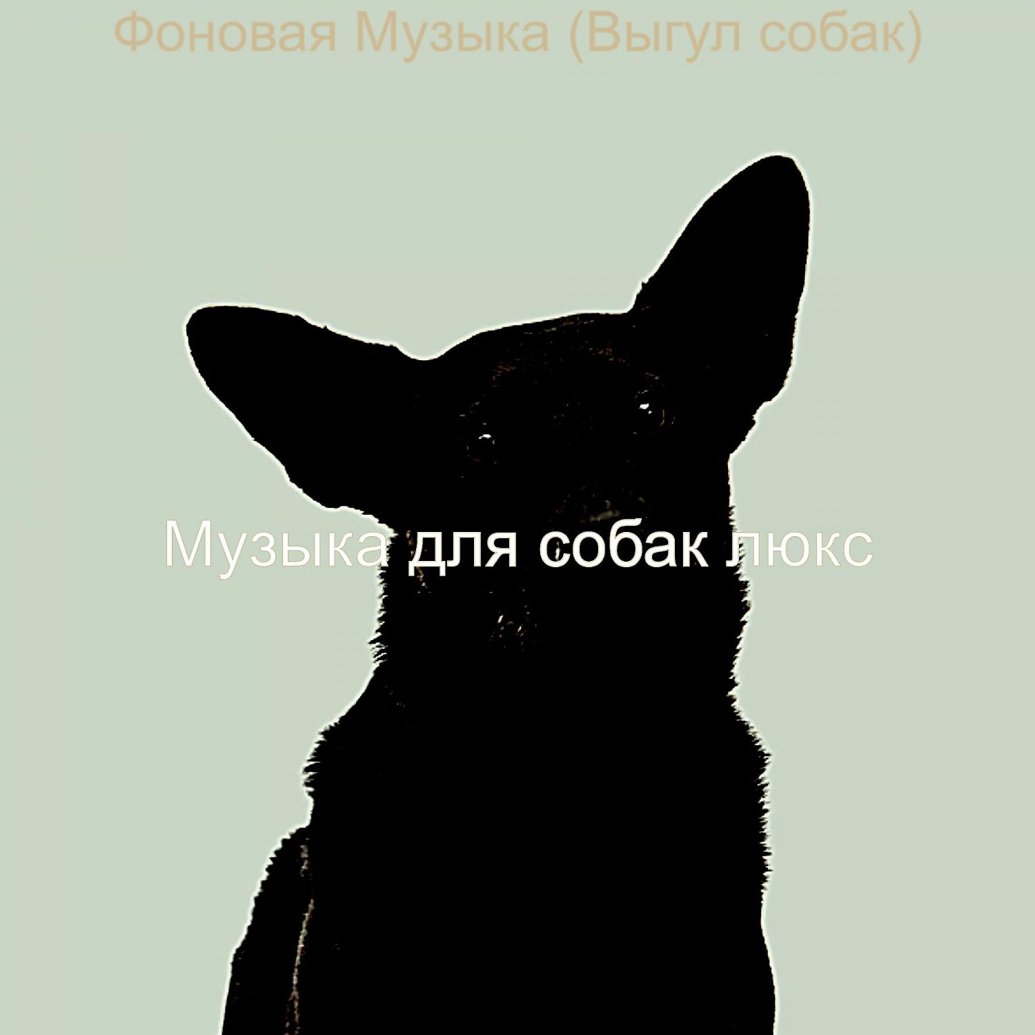 Постер альбома Фоновая Музыка (Выгул собак)
