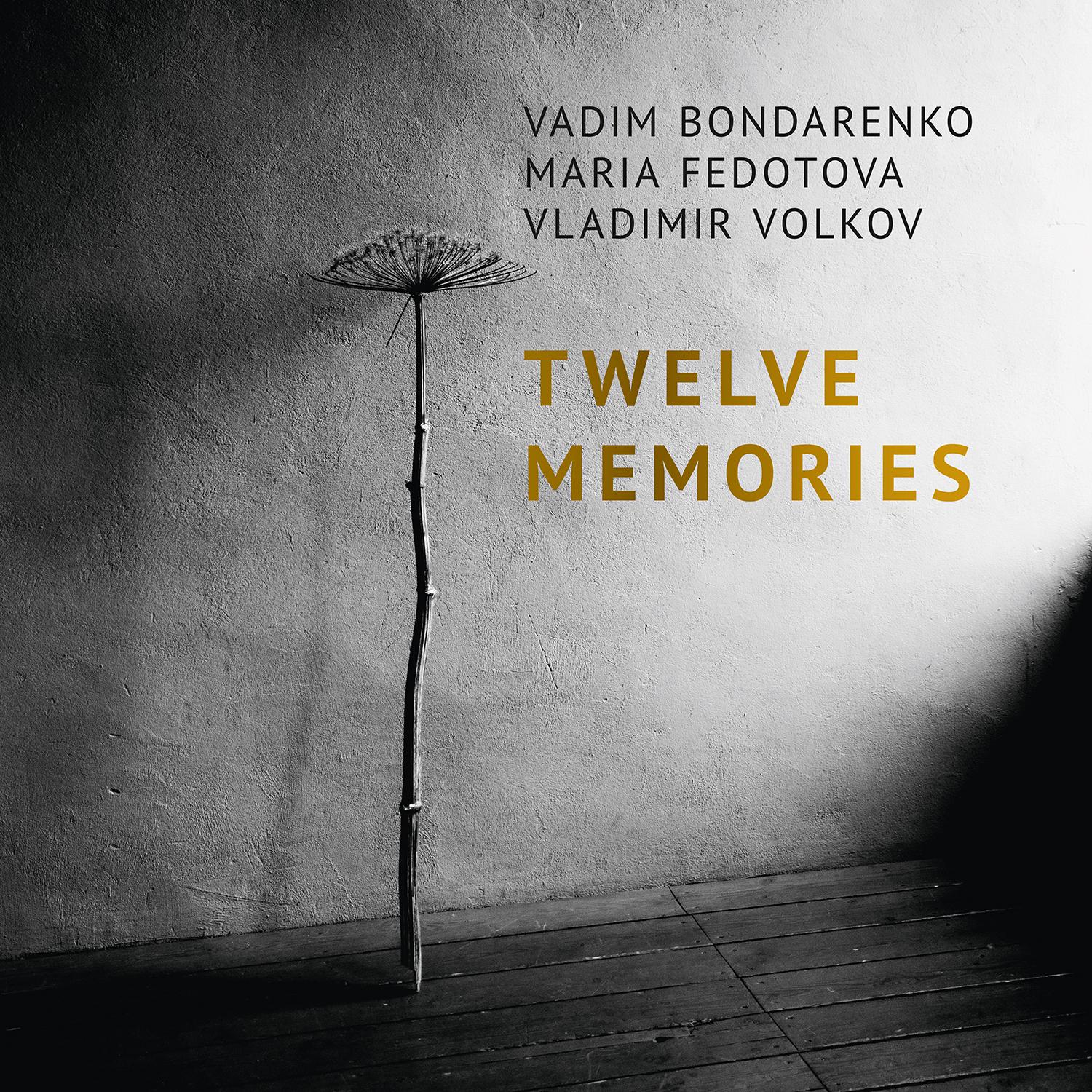 Постер альбома Twelve Memories