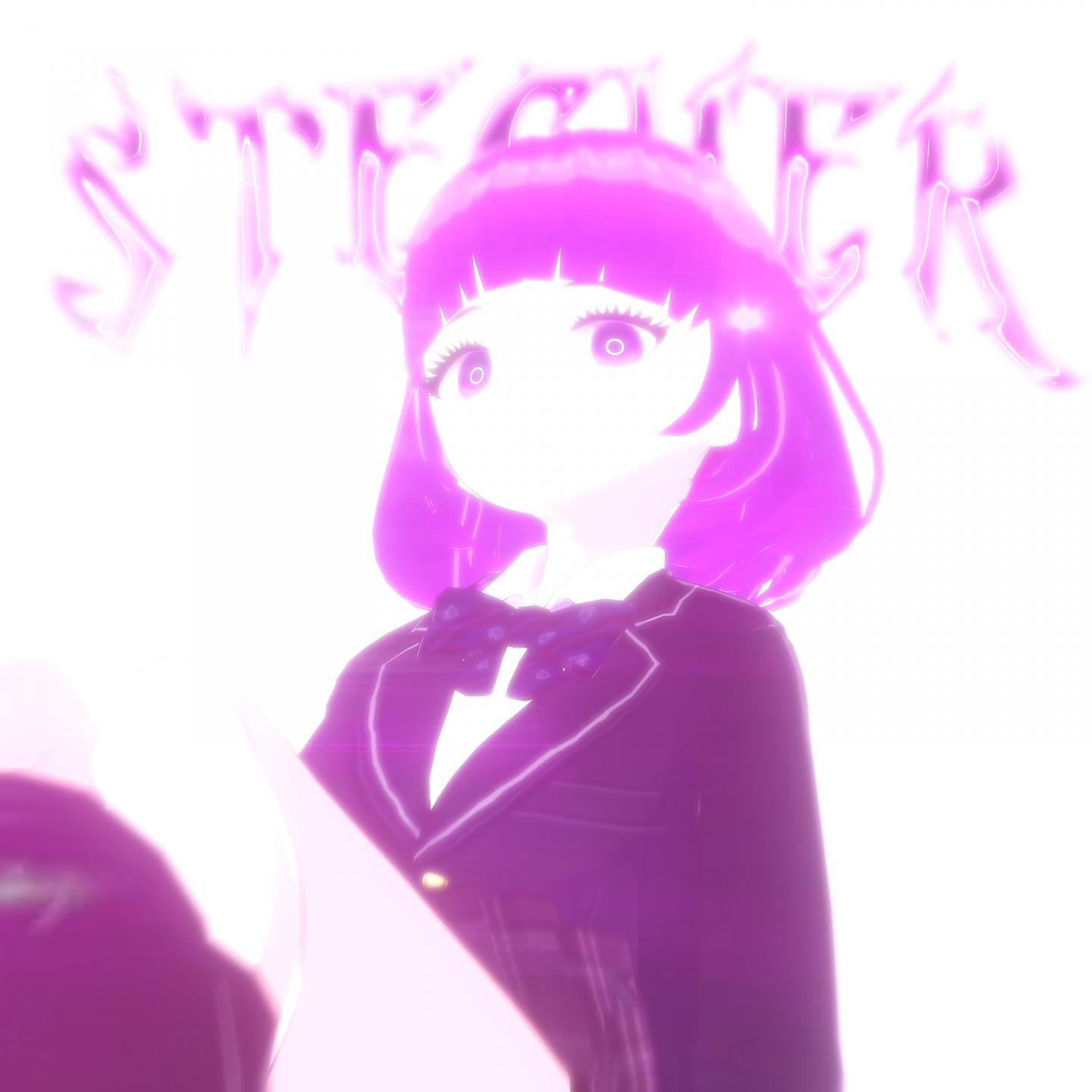 Постер альбома STECHER