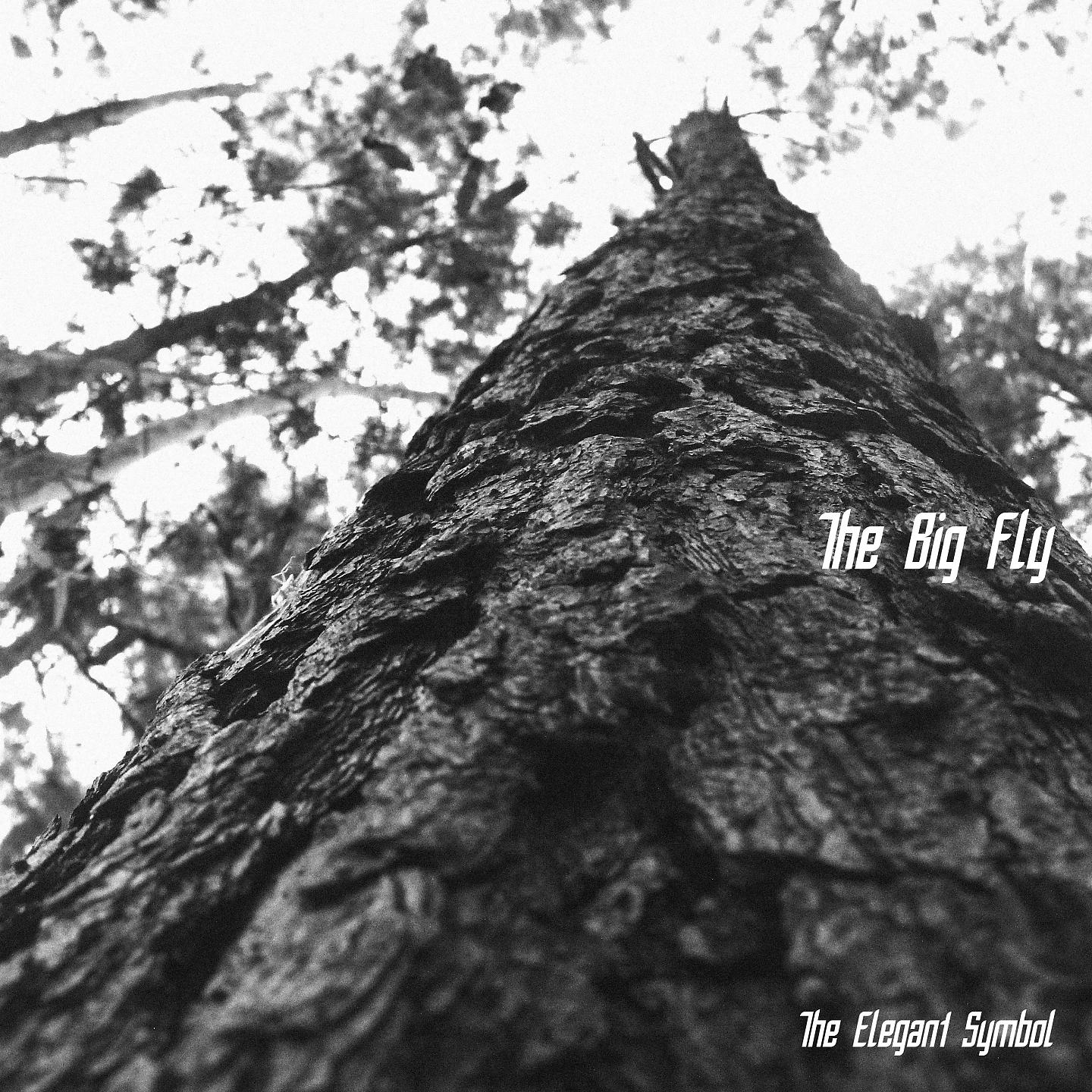 Постер альбома The Big Fly