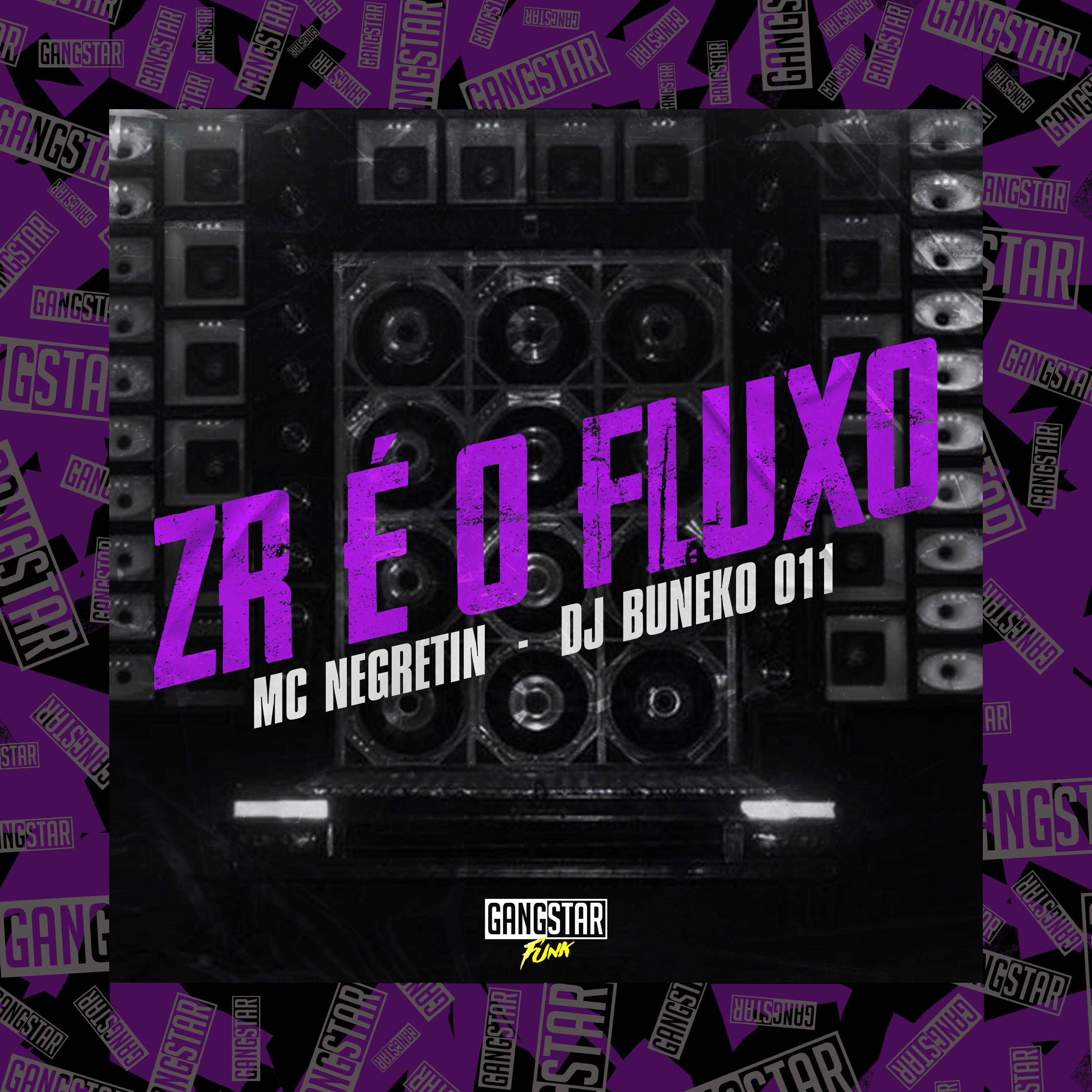 Постер альбома Zr É o Fluxo