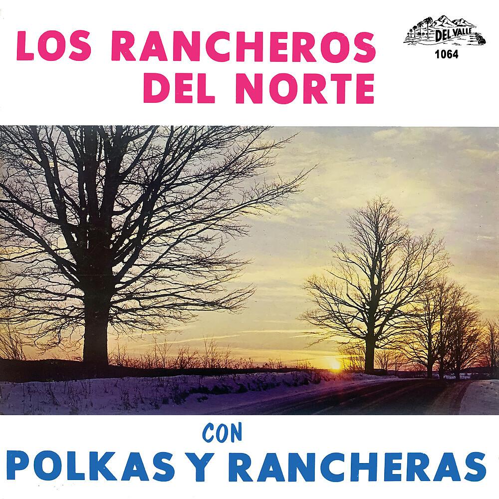 Постер альбома Polkas Y Rancheras