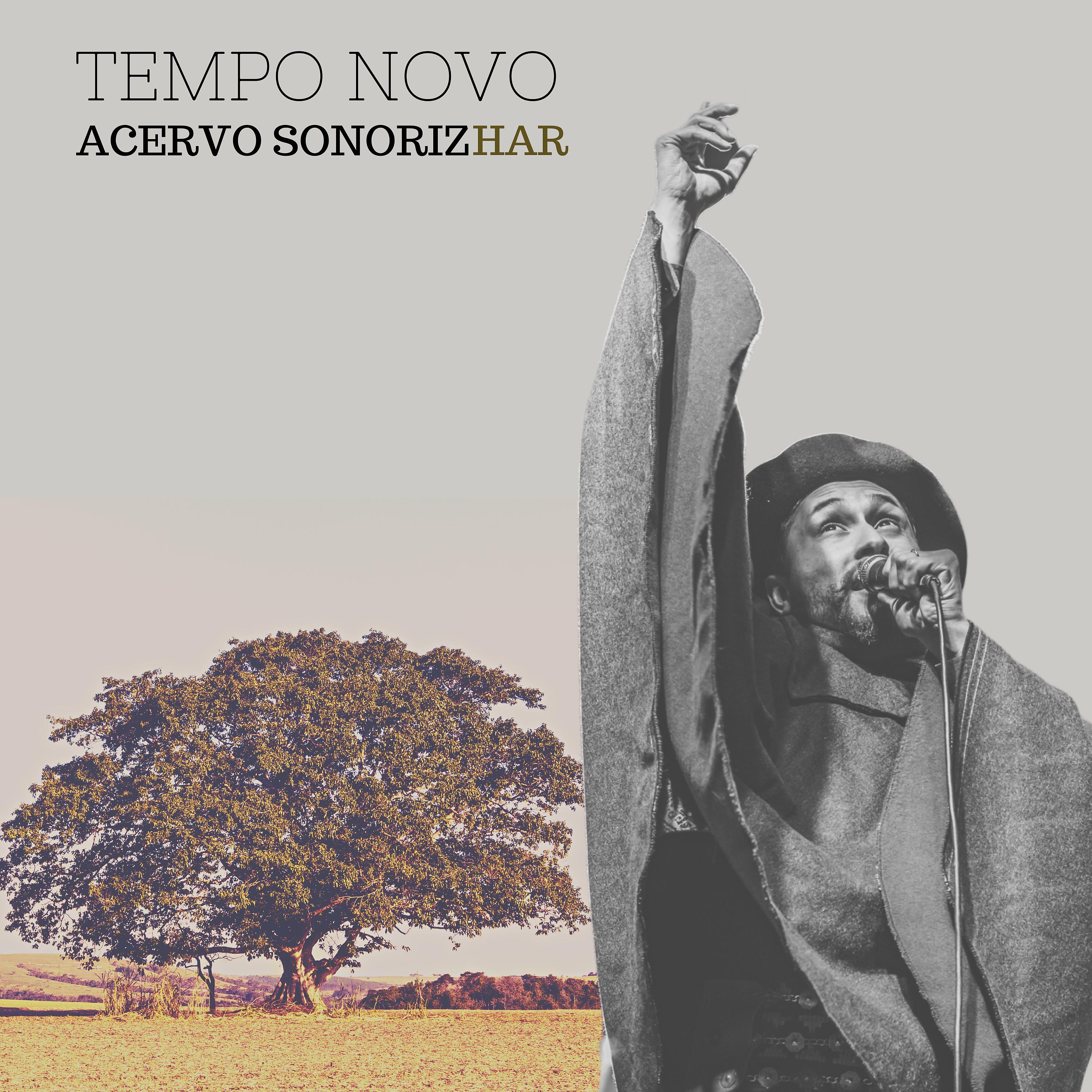 Постер альбома Tempo Novo - Acervo Sonorizhar