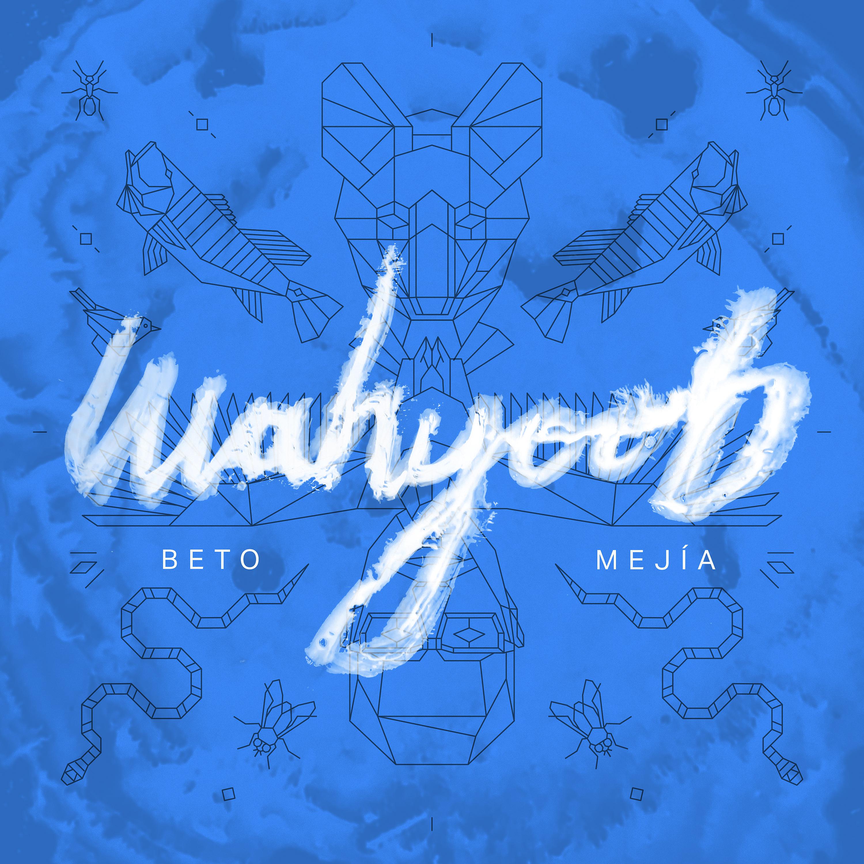 Постер альбома Wahyoob