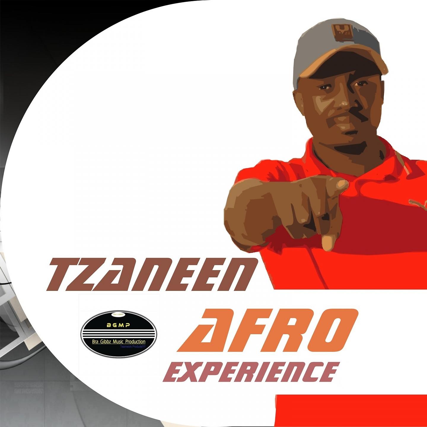 Постер альбома Tzaneen Afro Experience