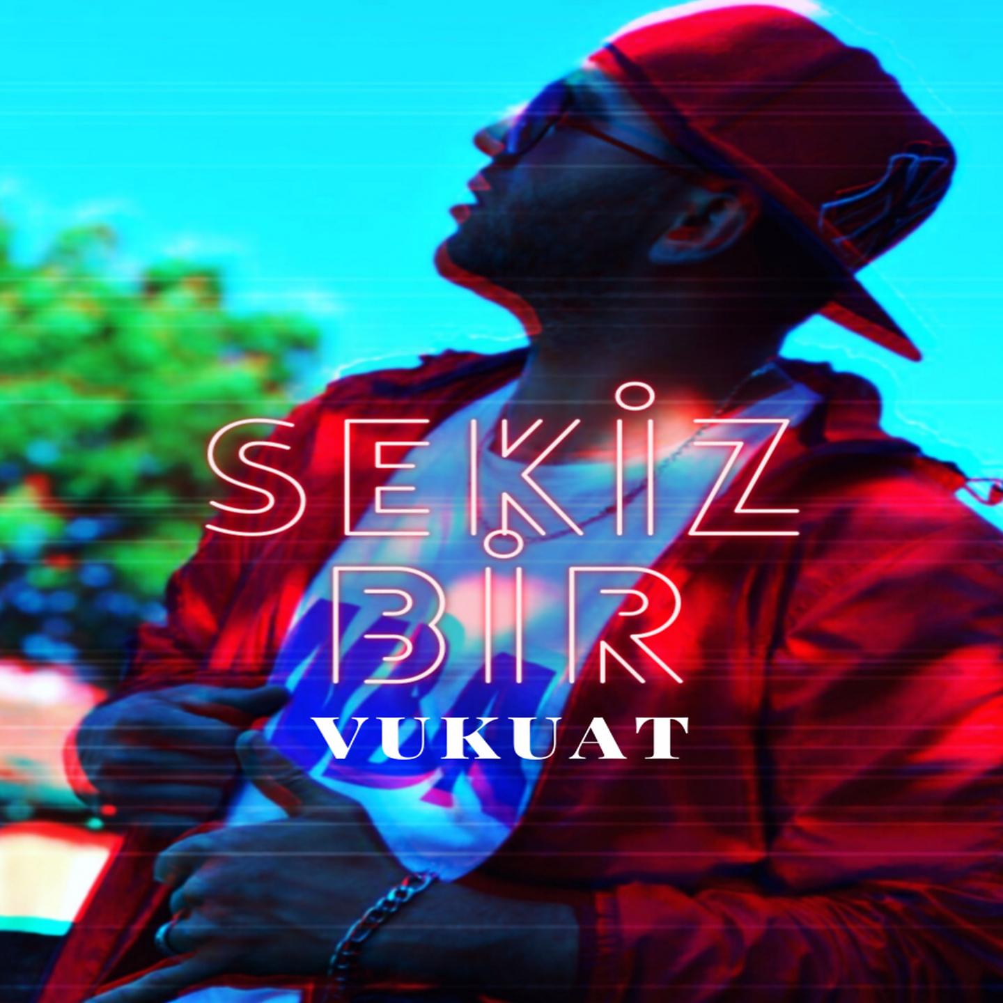 Постер альбома Sekizbir