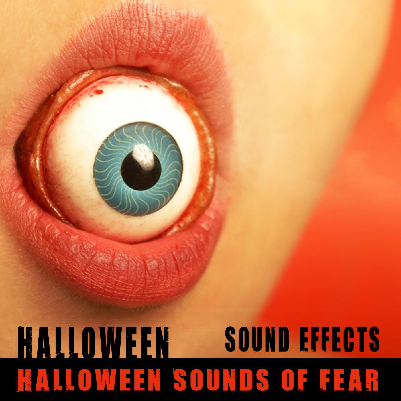 Постер альбома Halloween Sound Effects