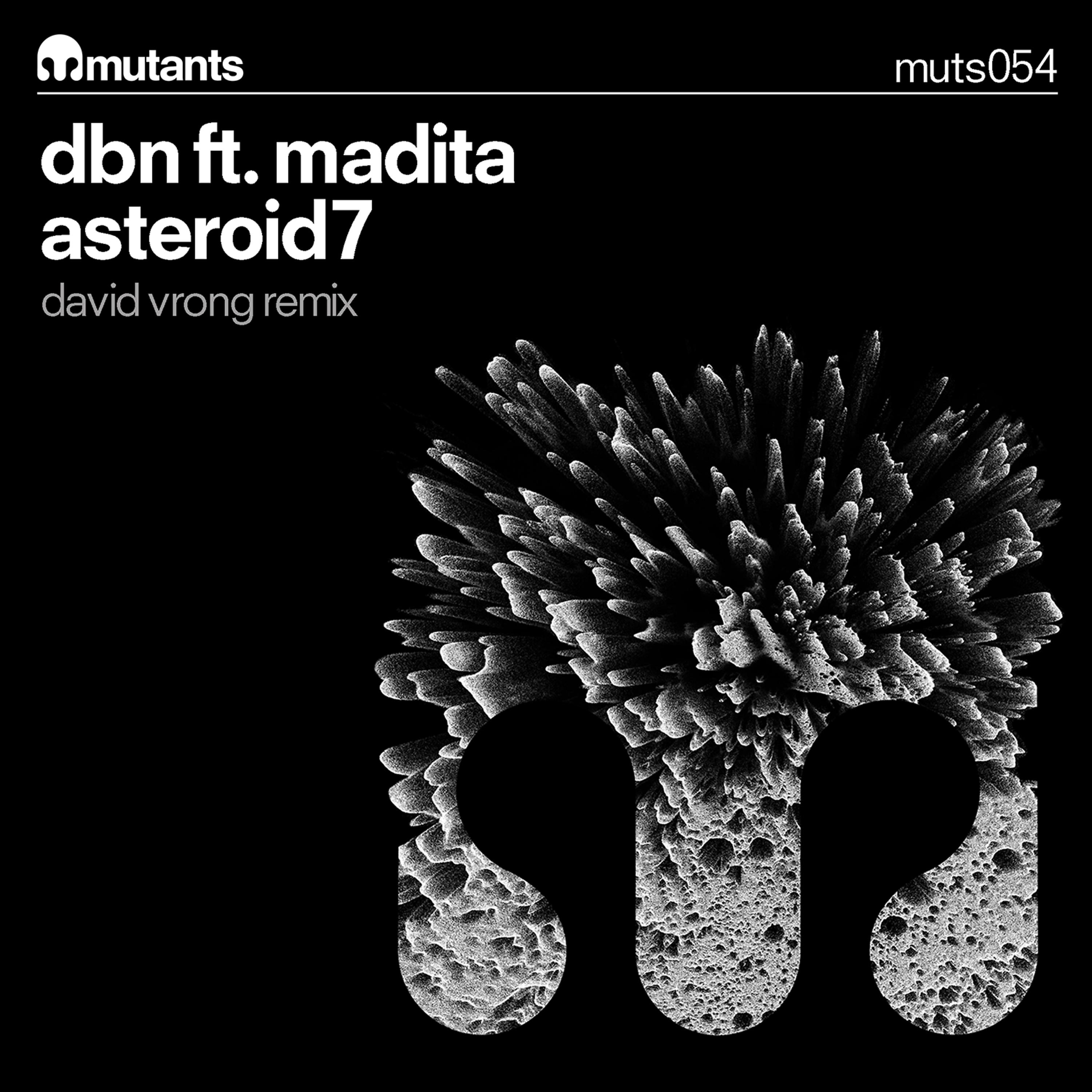 Постер альбома Asteroid7 (feat. Madita)