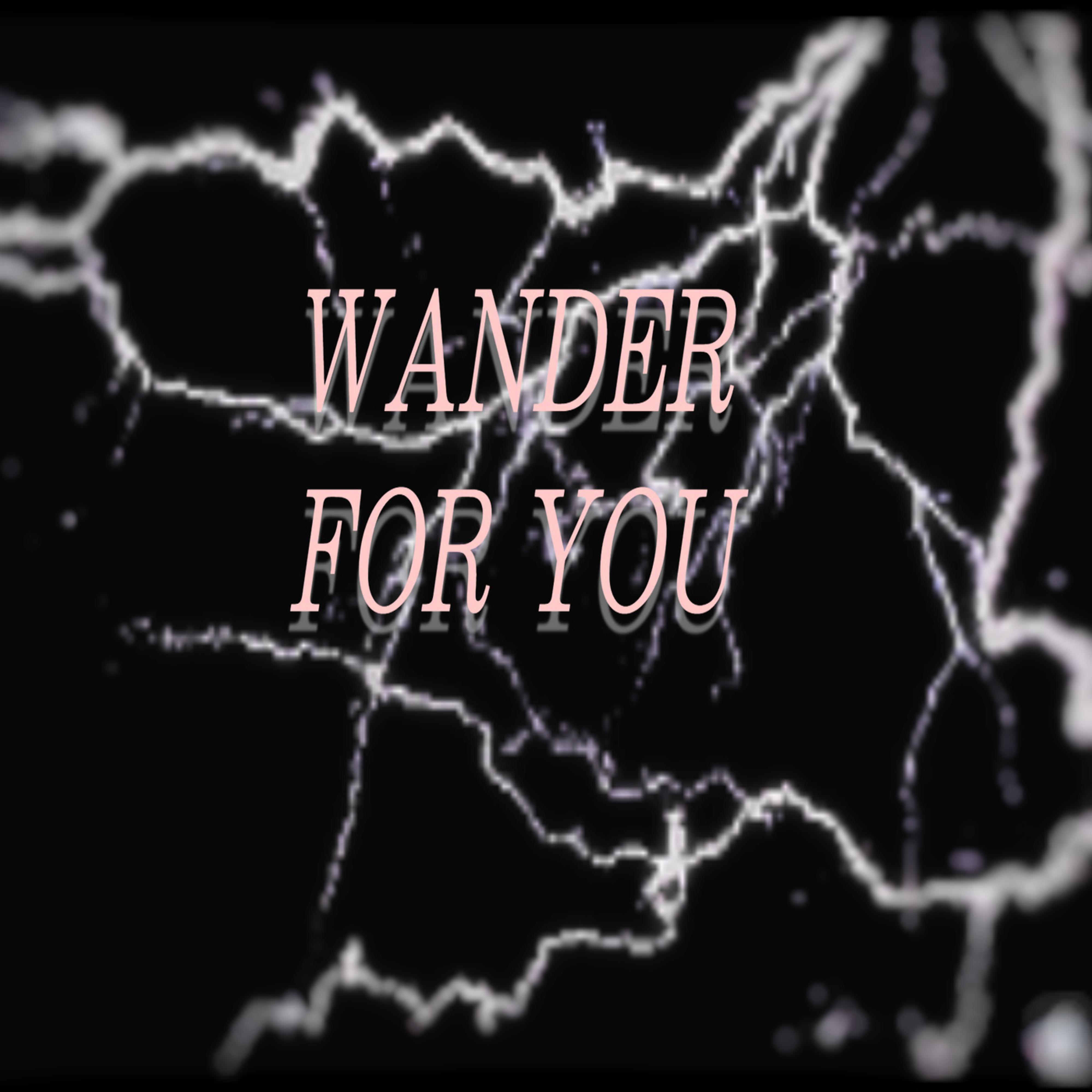 Постер альбома Wander for You