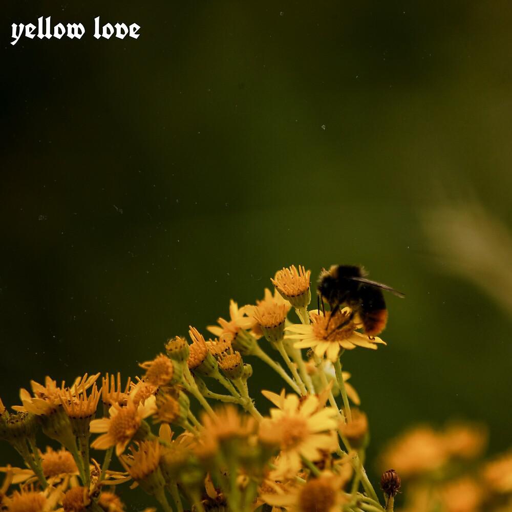 Постер альбома Yellow Love