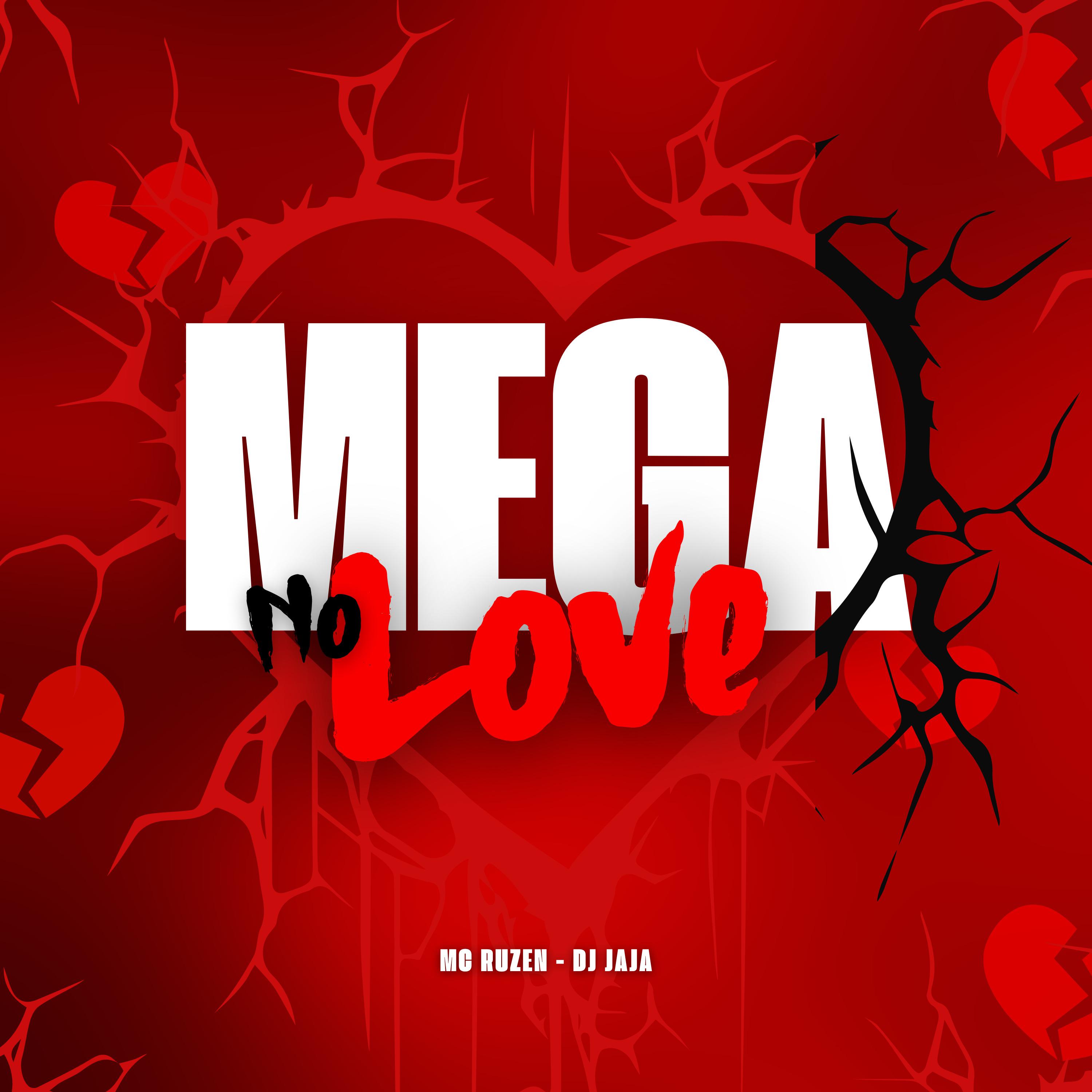 Постер альбома Mega no Love