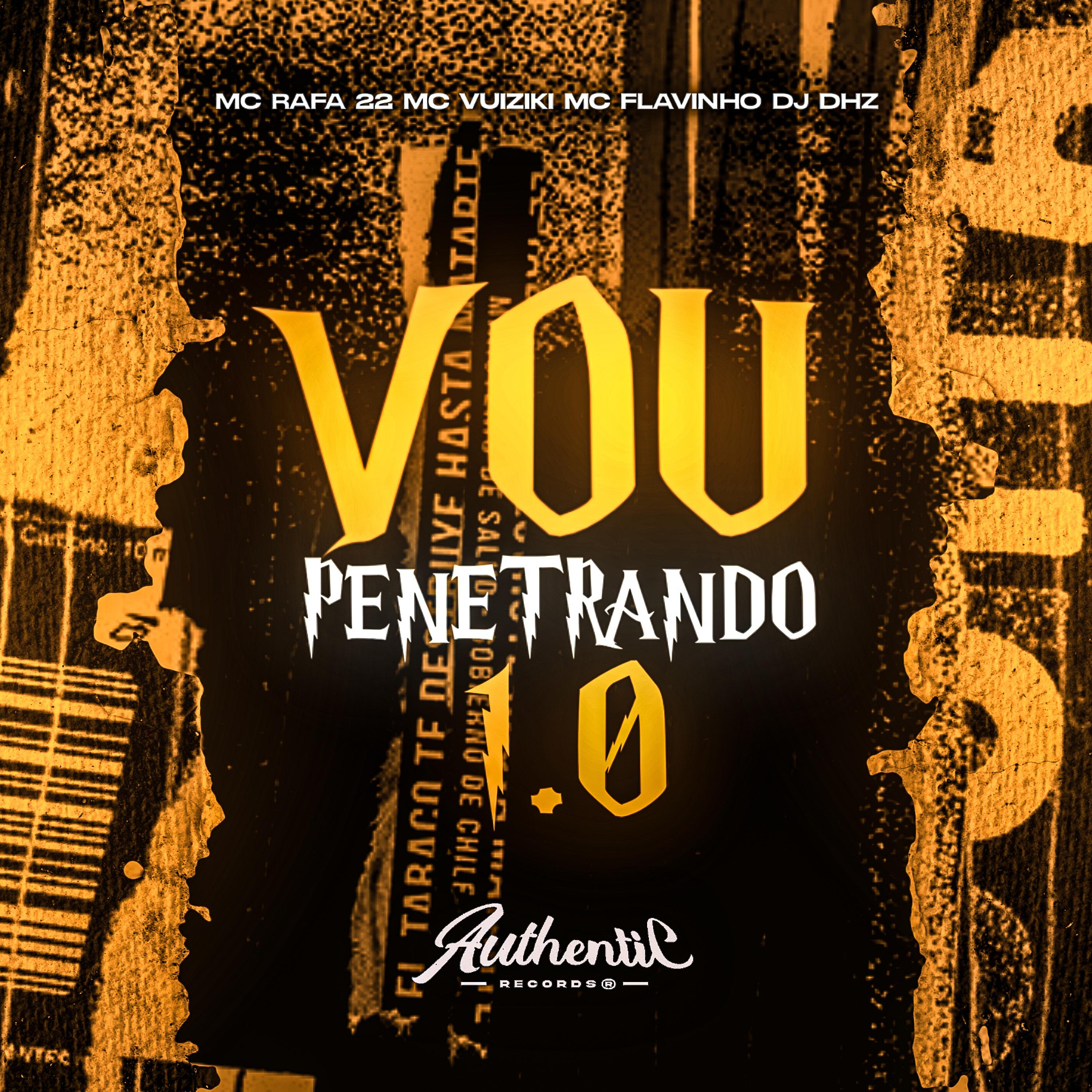 Постер альбома Vou Penetrando 1.0