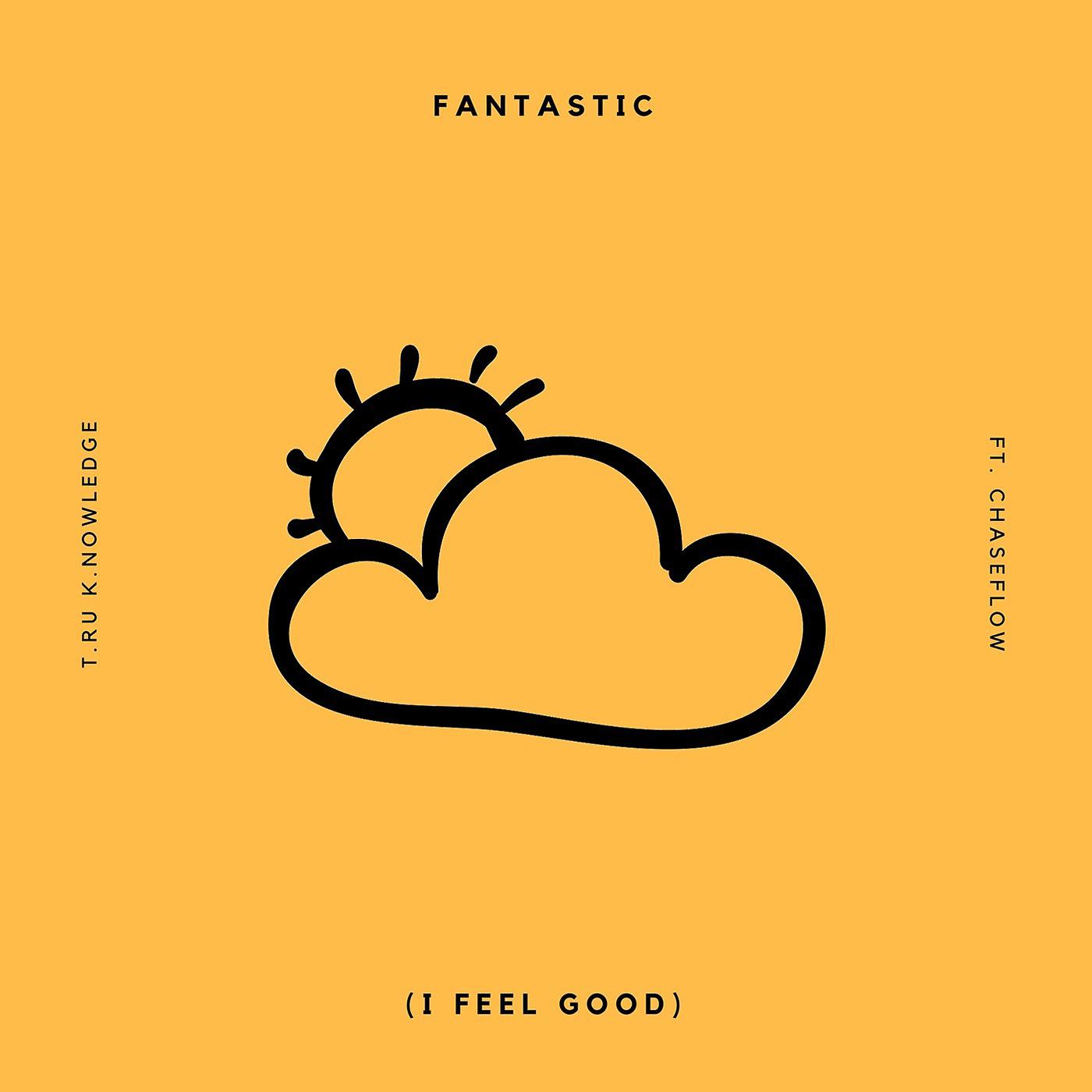 Постер альбома Fantastic (I Feel Good) [feat. Chase Flow]