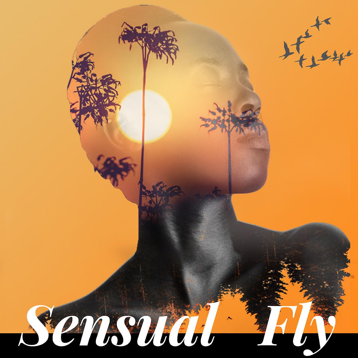 Постер альбома Sensual Fly