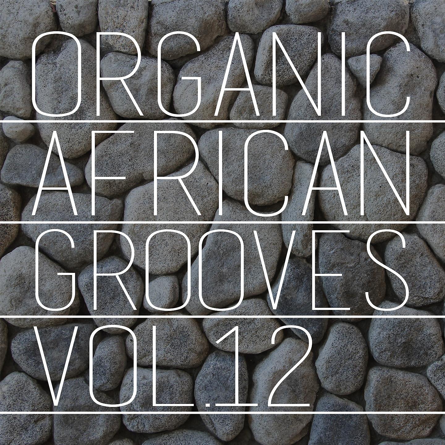 Постер альбома Organic African Grooves, Vol.12