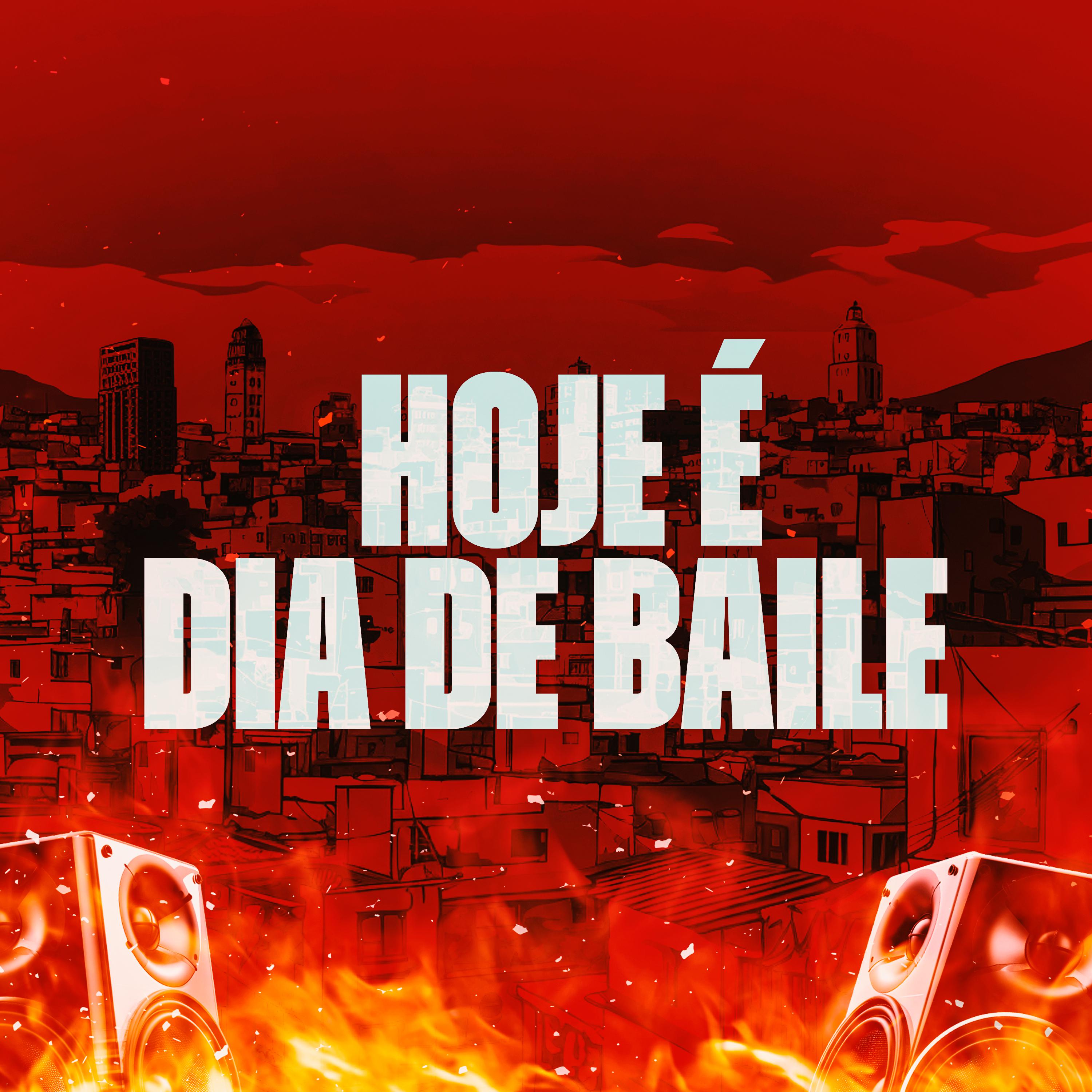 Постер альбома Hoje É Dia de Baile
