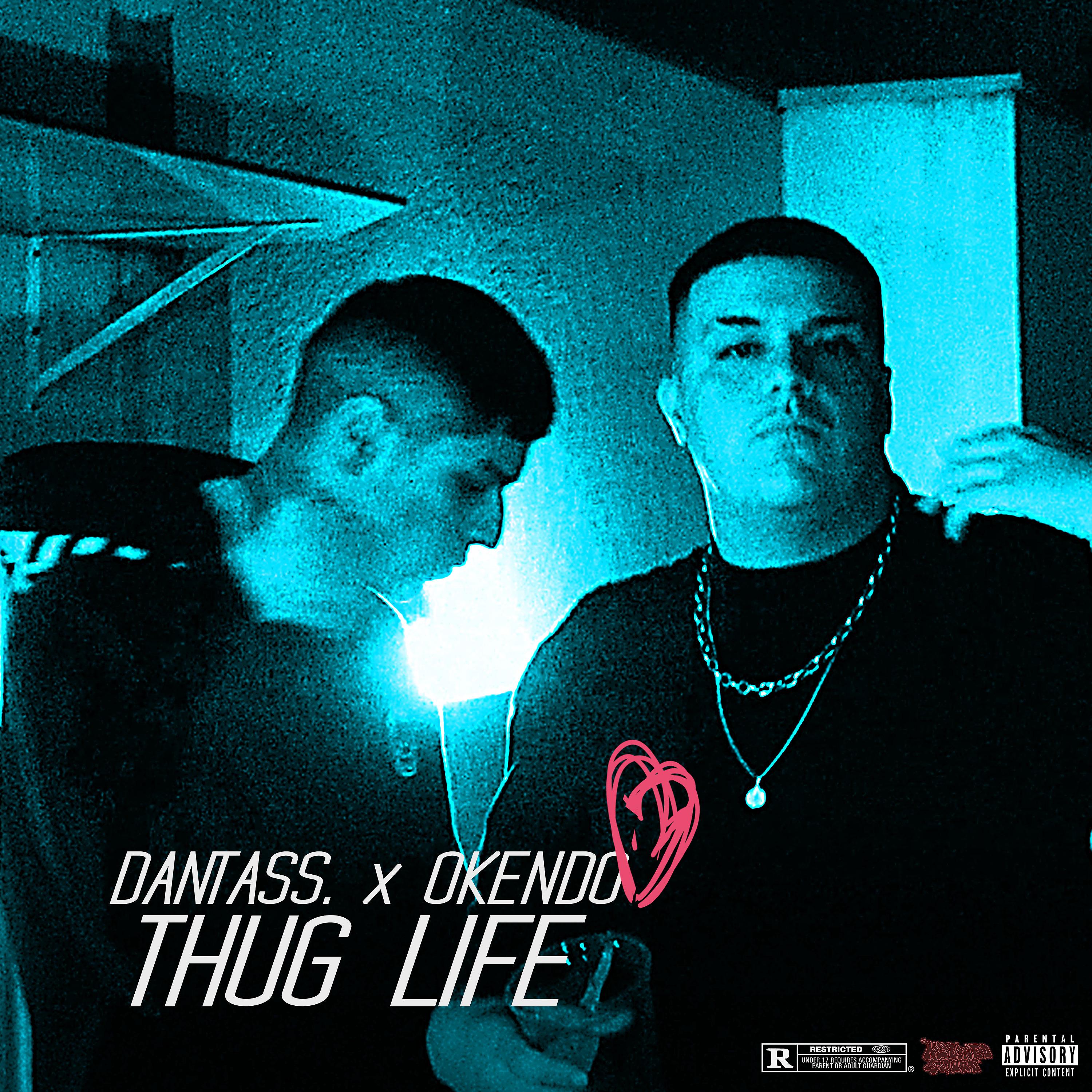 Постер альбома Thug Life