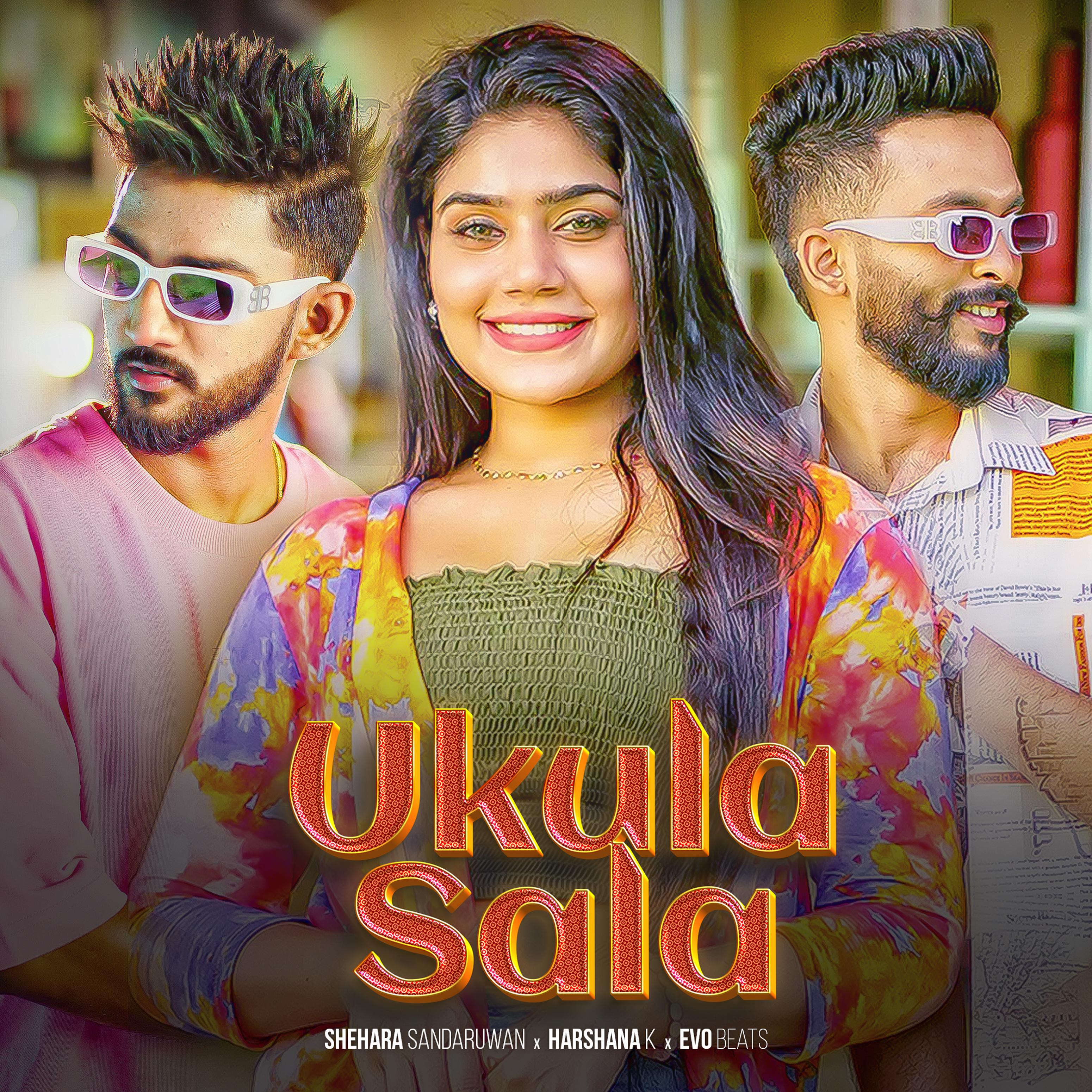 Постер альбома Ukula Sala