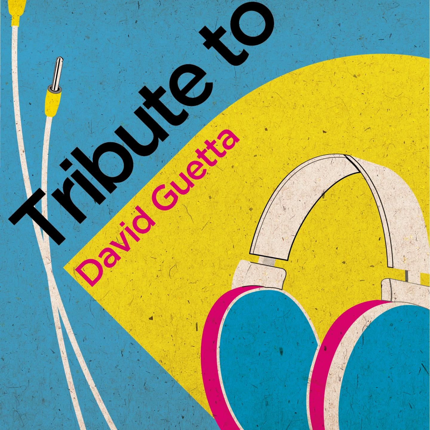 Постер альбома Tribute to David Getta
