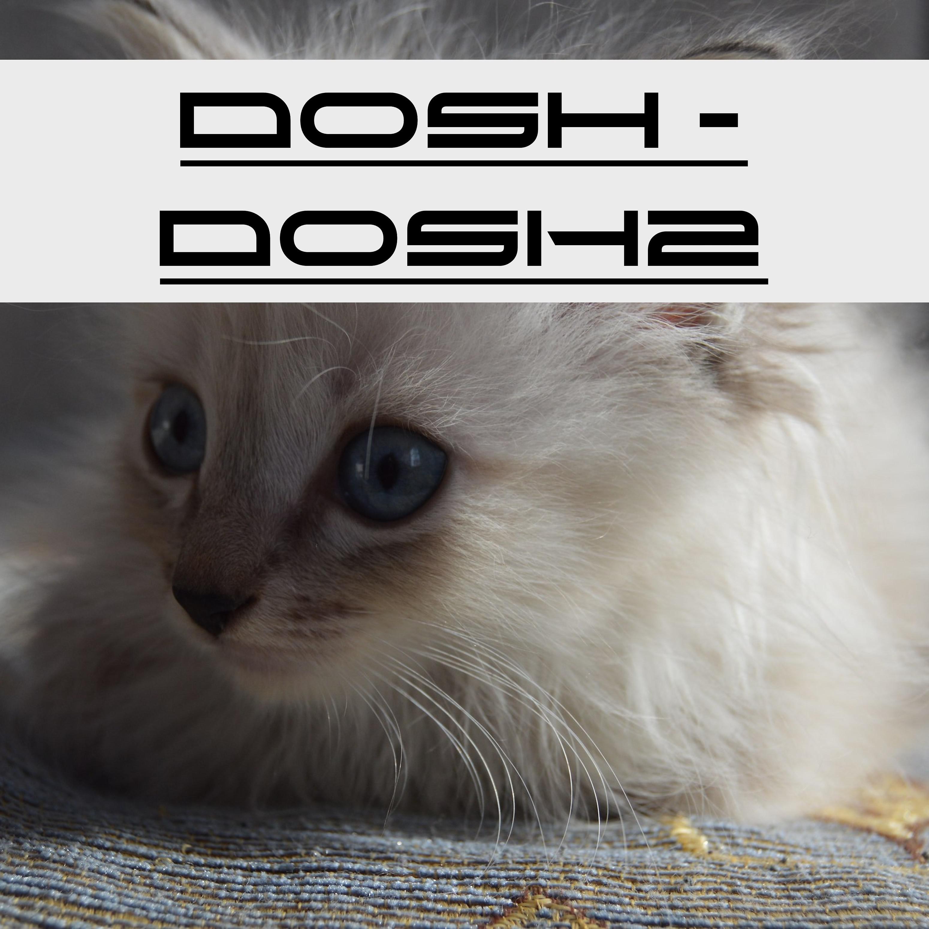 Постер альбома Dosh2