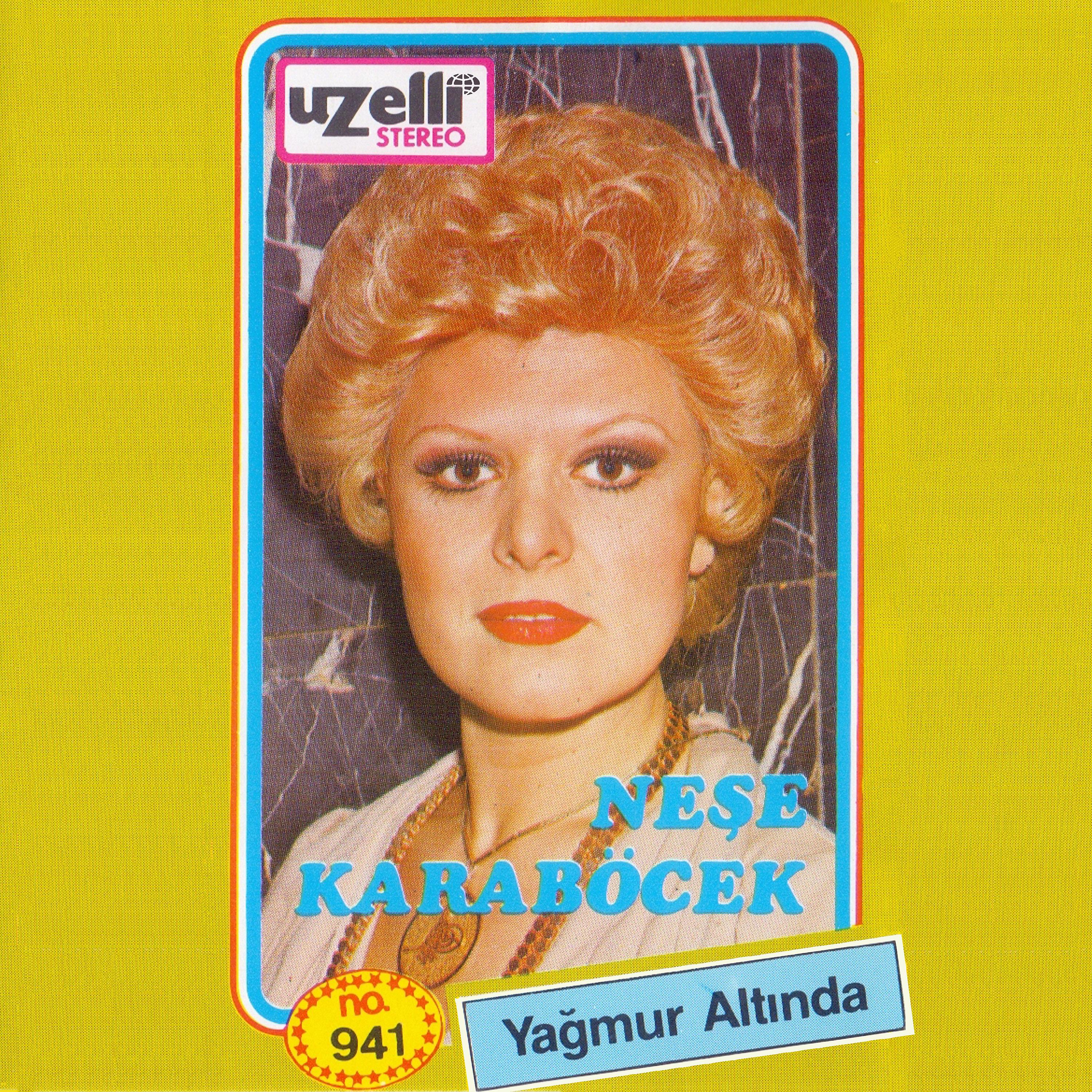 Постер альбома Yağmur Altında