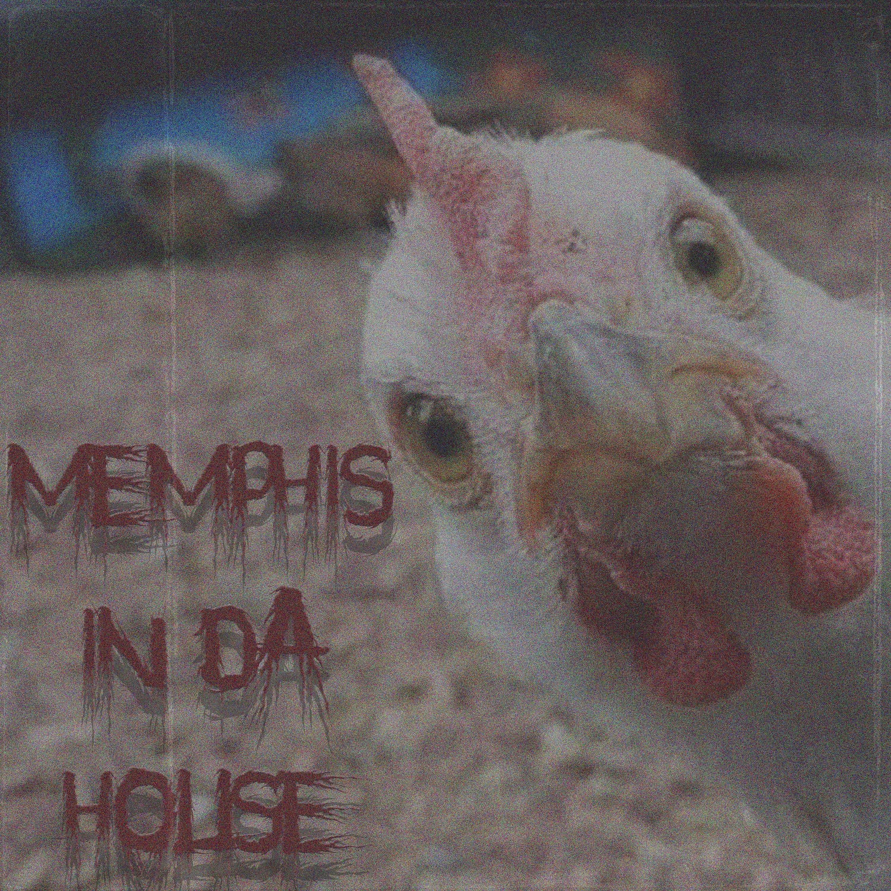 Постер альбома Memphis in da House