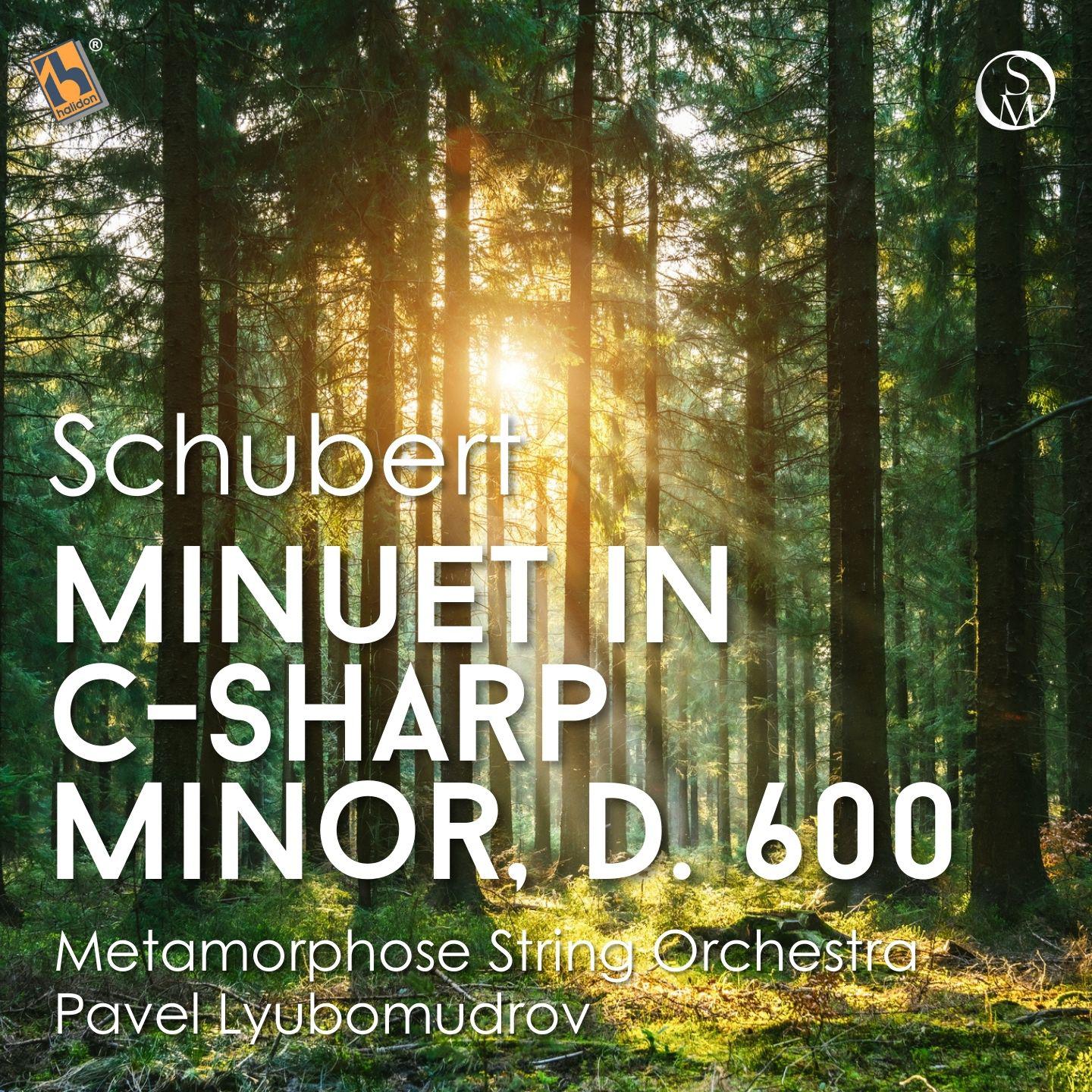 Постер альбома Schubert: Minuet in C-Sharp Minor, D. 600