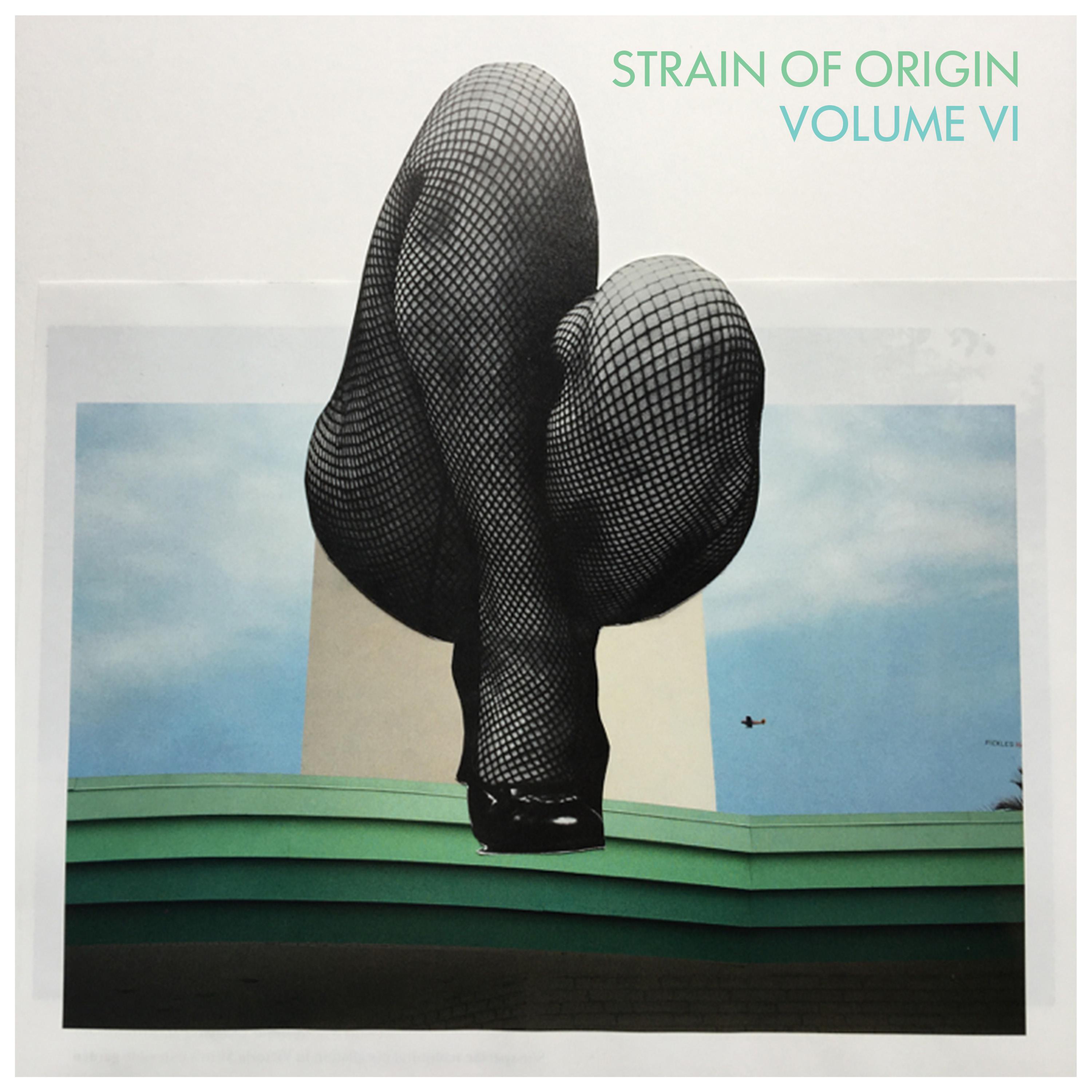 Постер альбома Strain of Origin, Vol. 6