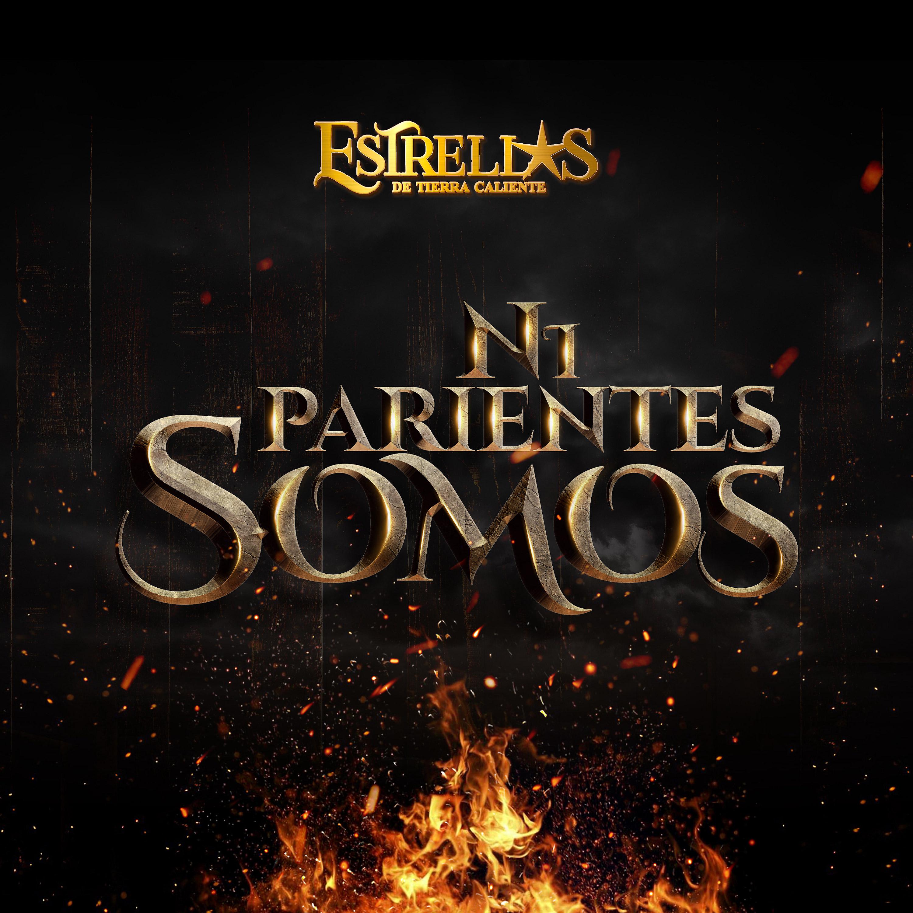 Постер альбома Ni Parientes Somos