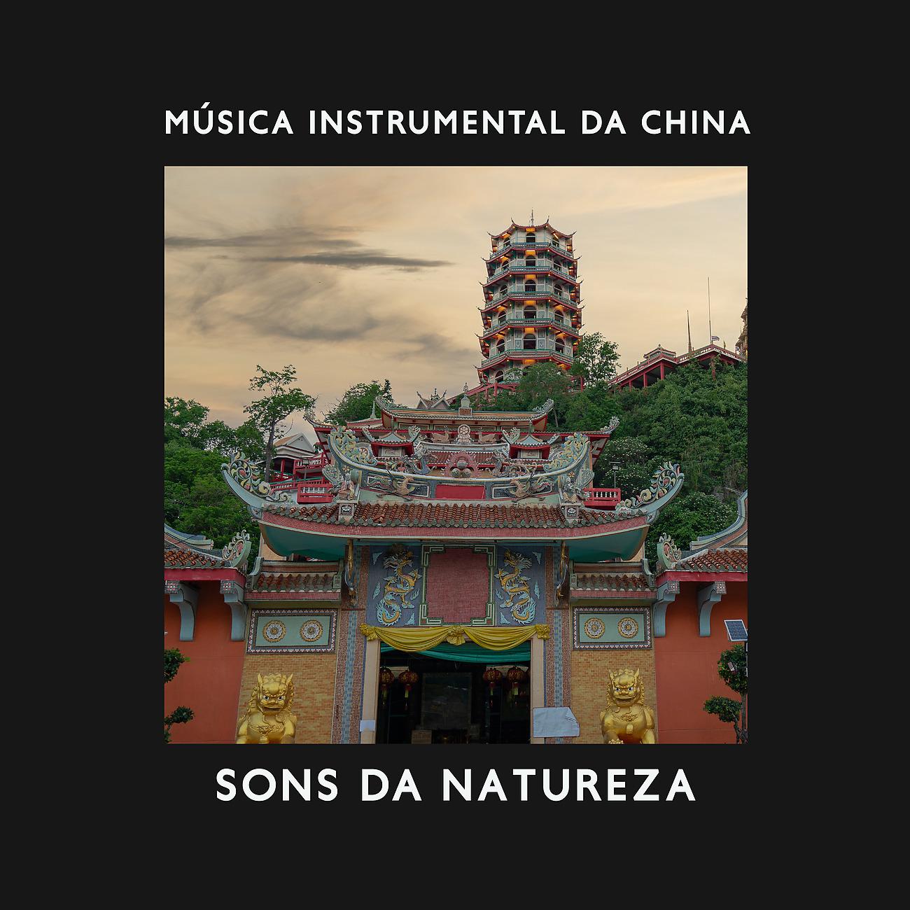 Постер альбома Música Instrumental da China