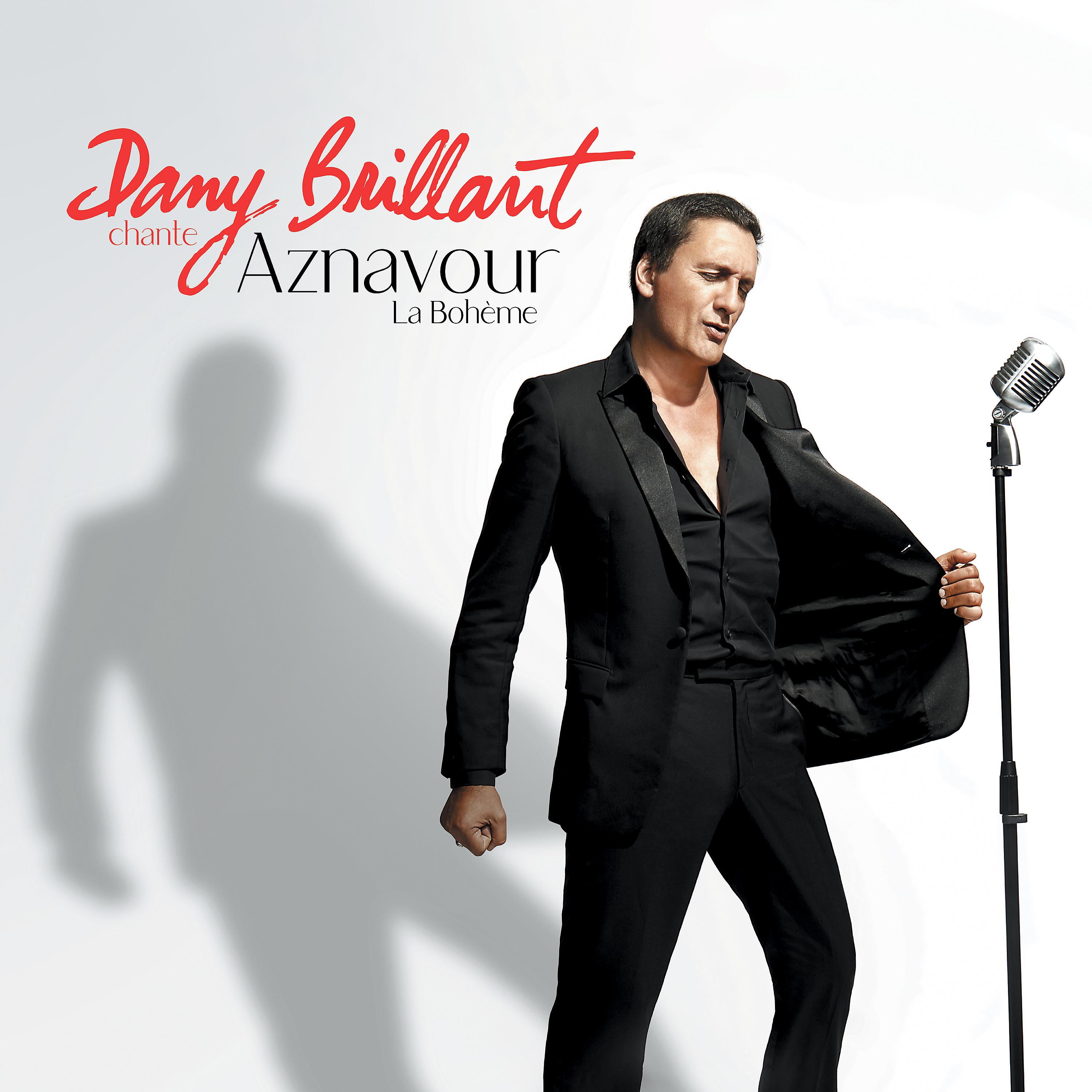 Постер альбома Dany Brillant chante Aznavour: La Bohème