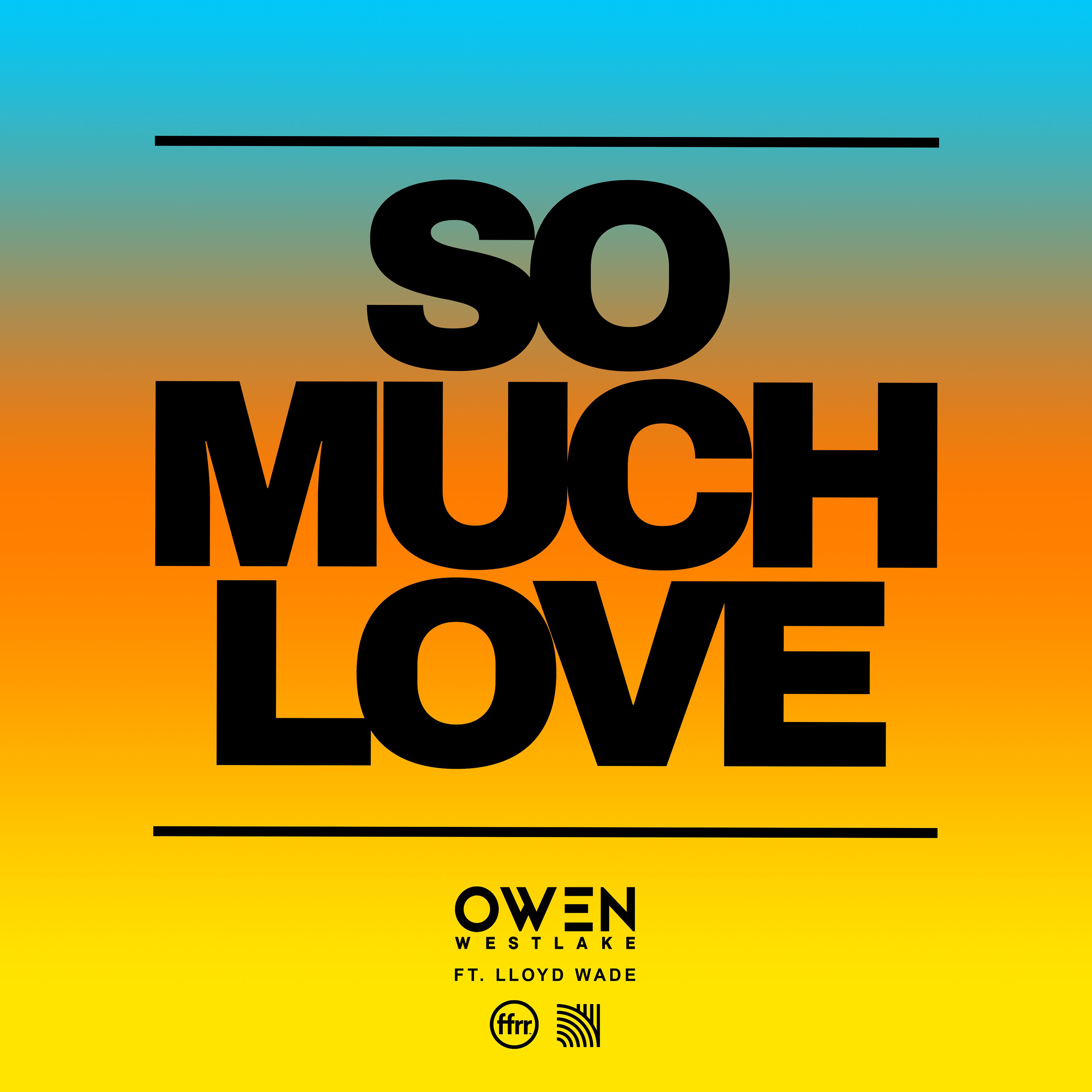 Постер альбома So Much Love (feat. Lloyd Wade)