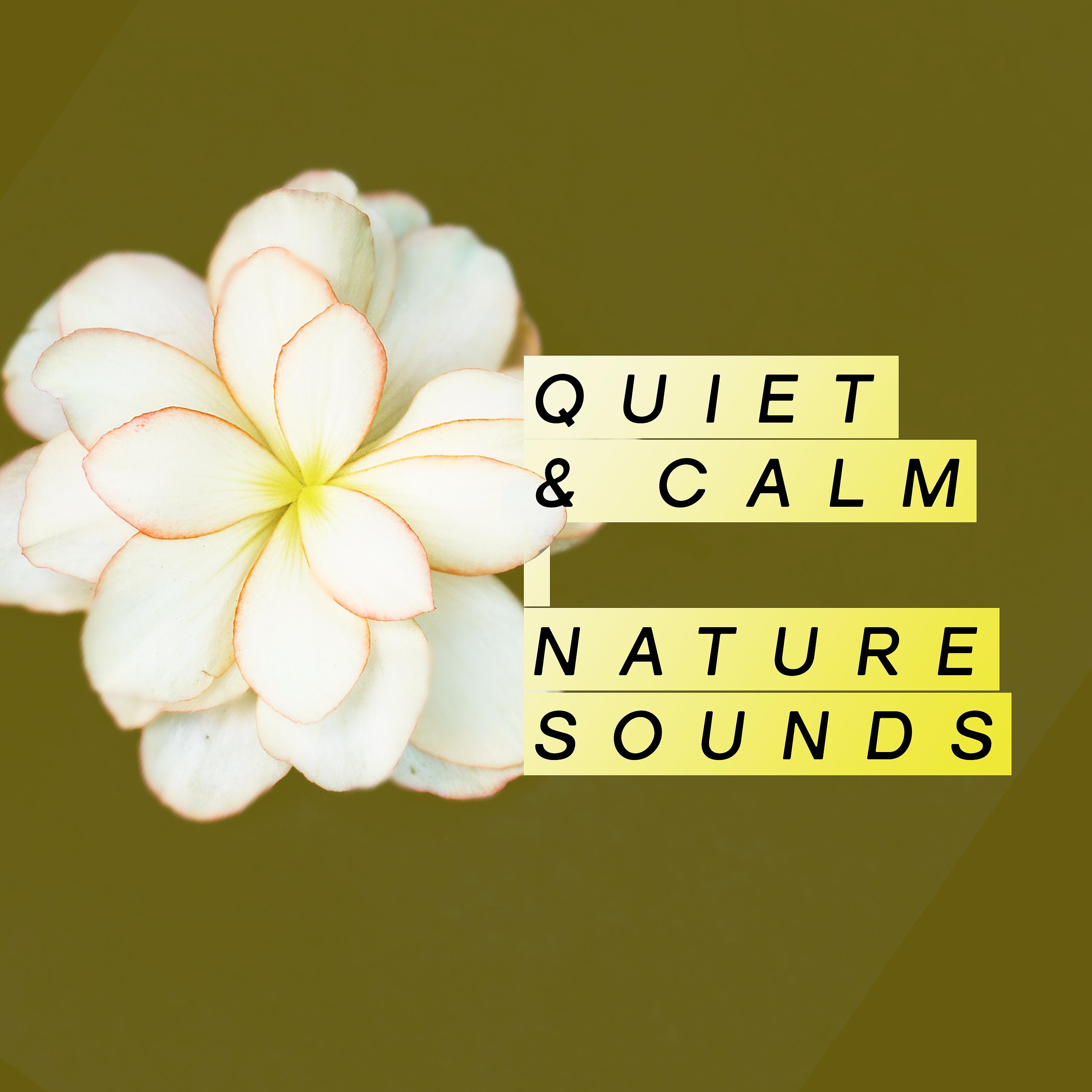 Постер альбома Spa & Relax Sounds