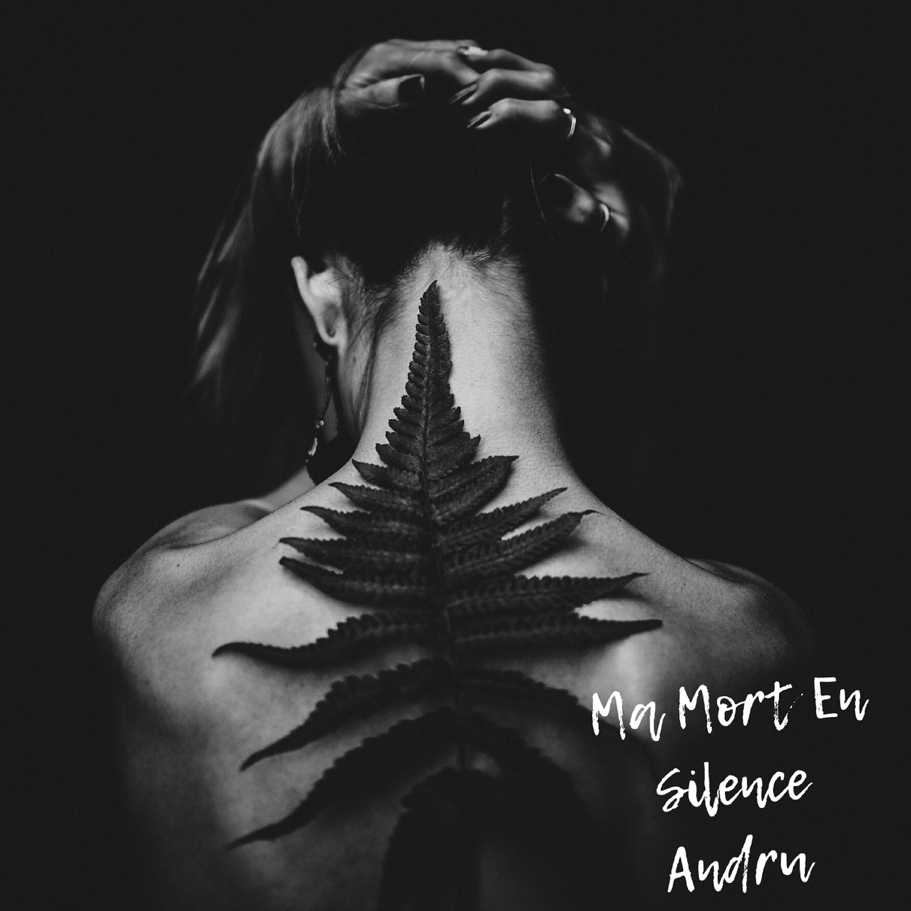Постер альбома Ma Mort En Silence