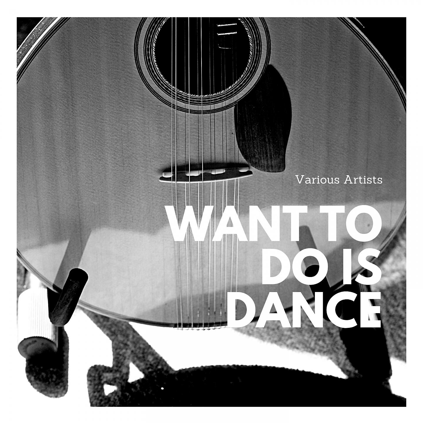 Постер альбома Want to Do Is Dance