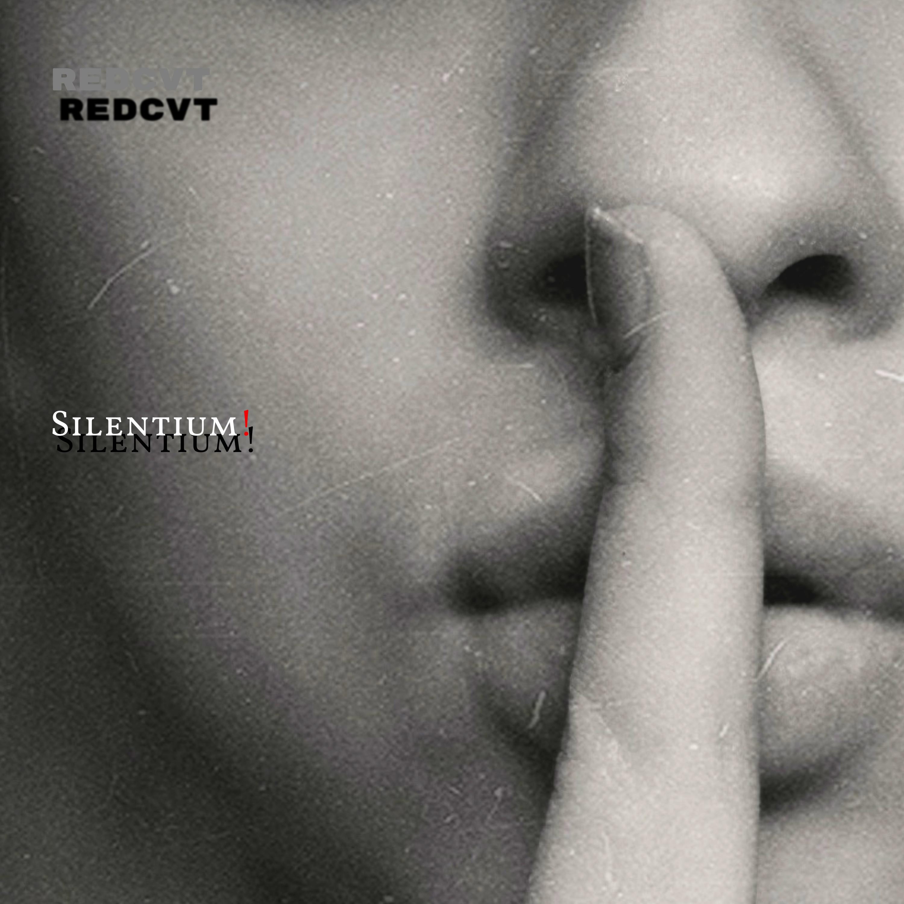 Постер альбома Silentium!