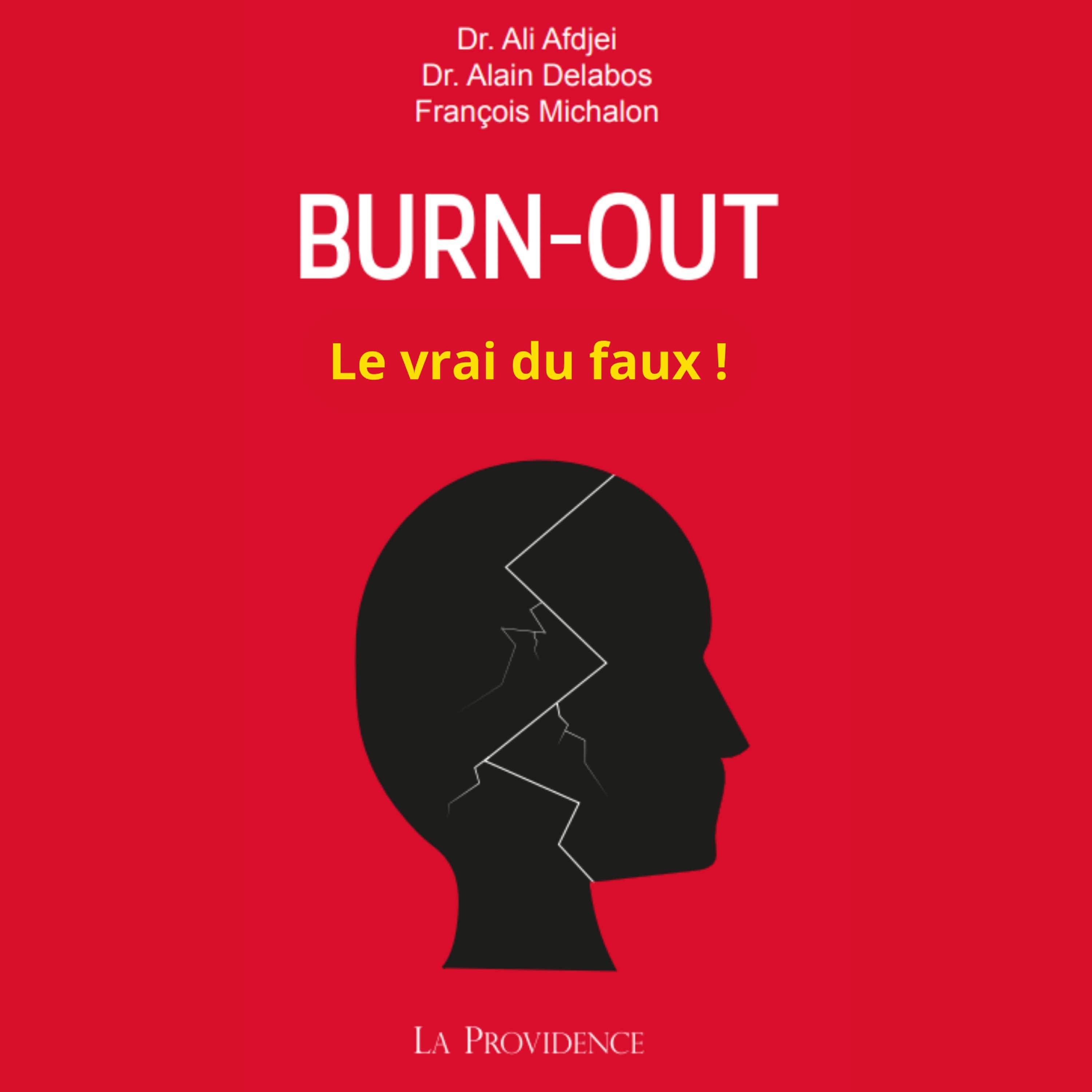 Постер альбома Burn out - Le vrai du faux
