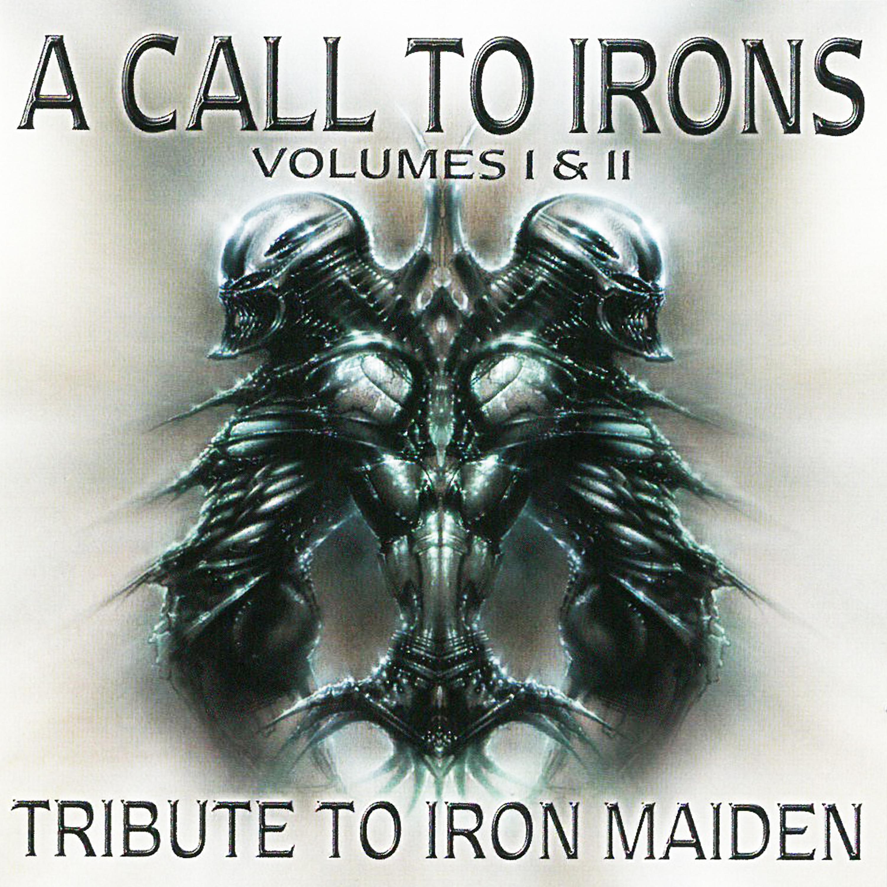 Постер альбома A Call to Irons Volumes 1 & 2: Tribute to Iron Maiden