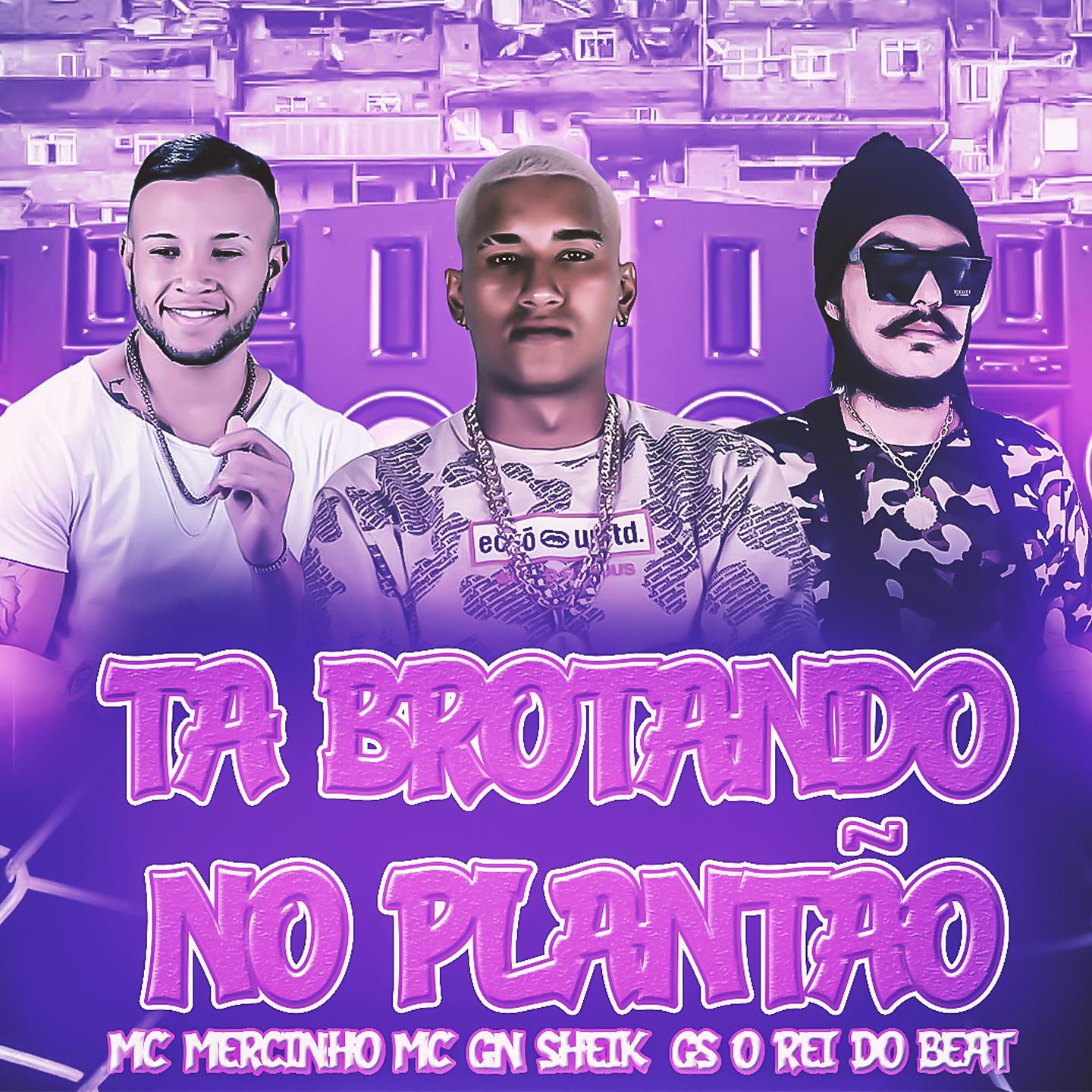 Постер альбома Ta Brotando no Plantão