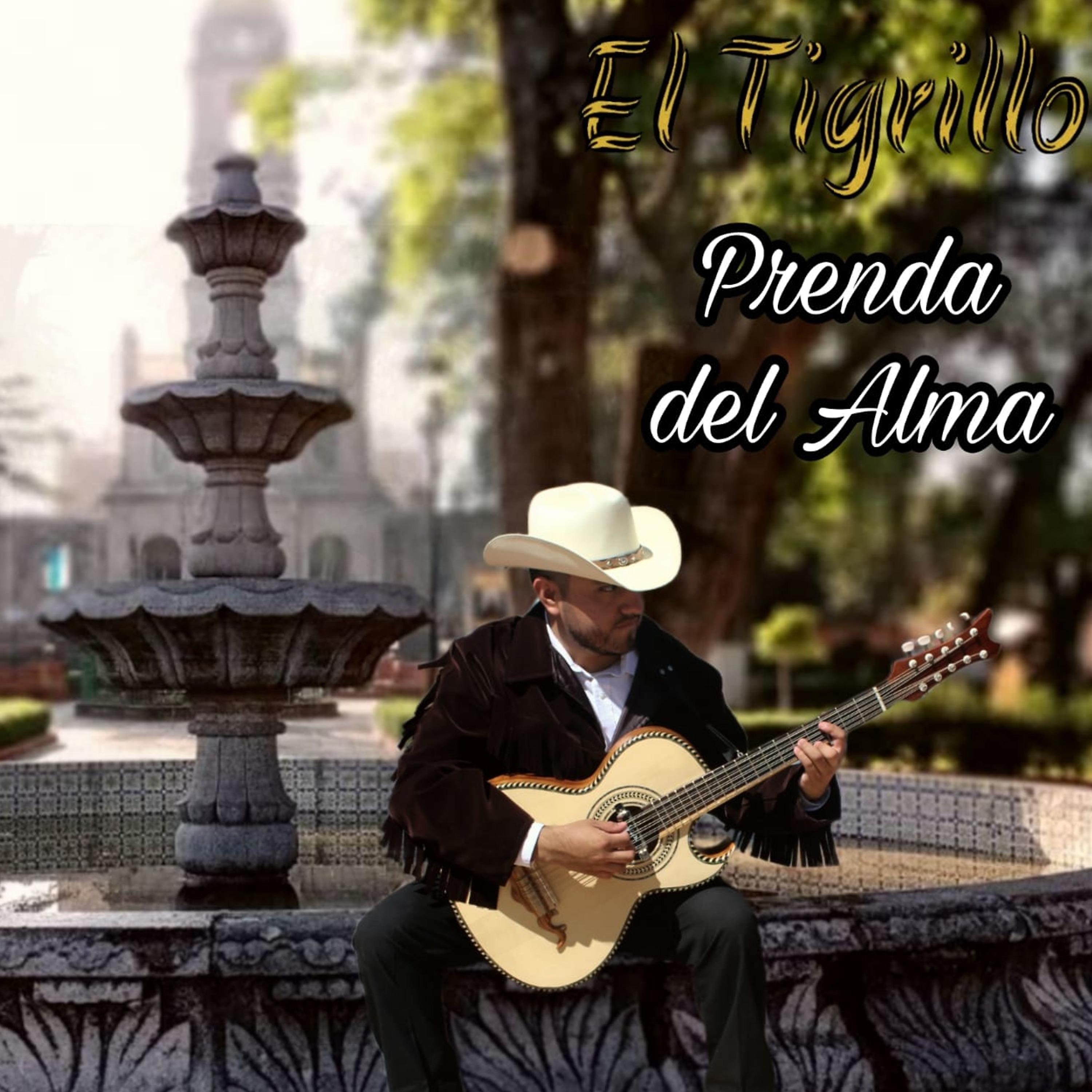Постер альбома Prenda del Alma