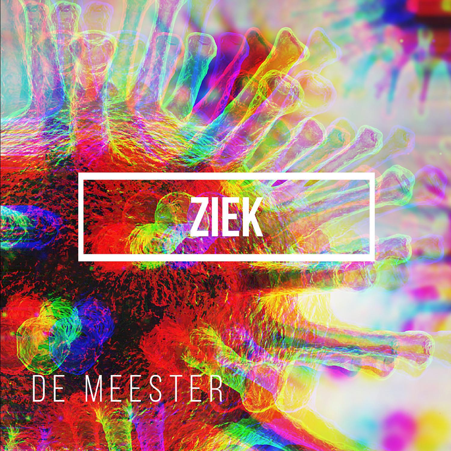 Постер альбома Ziek
